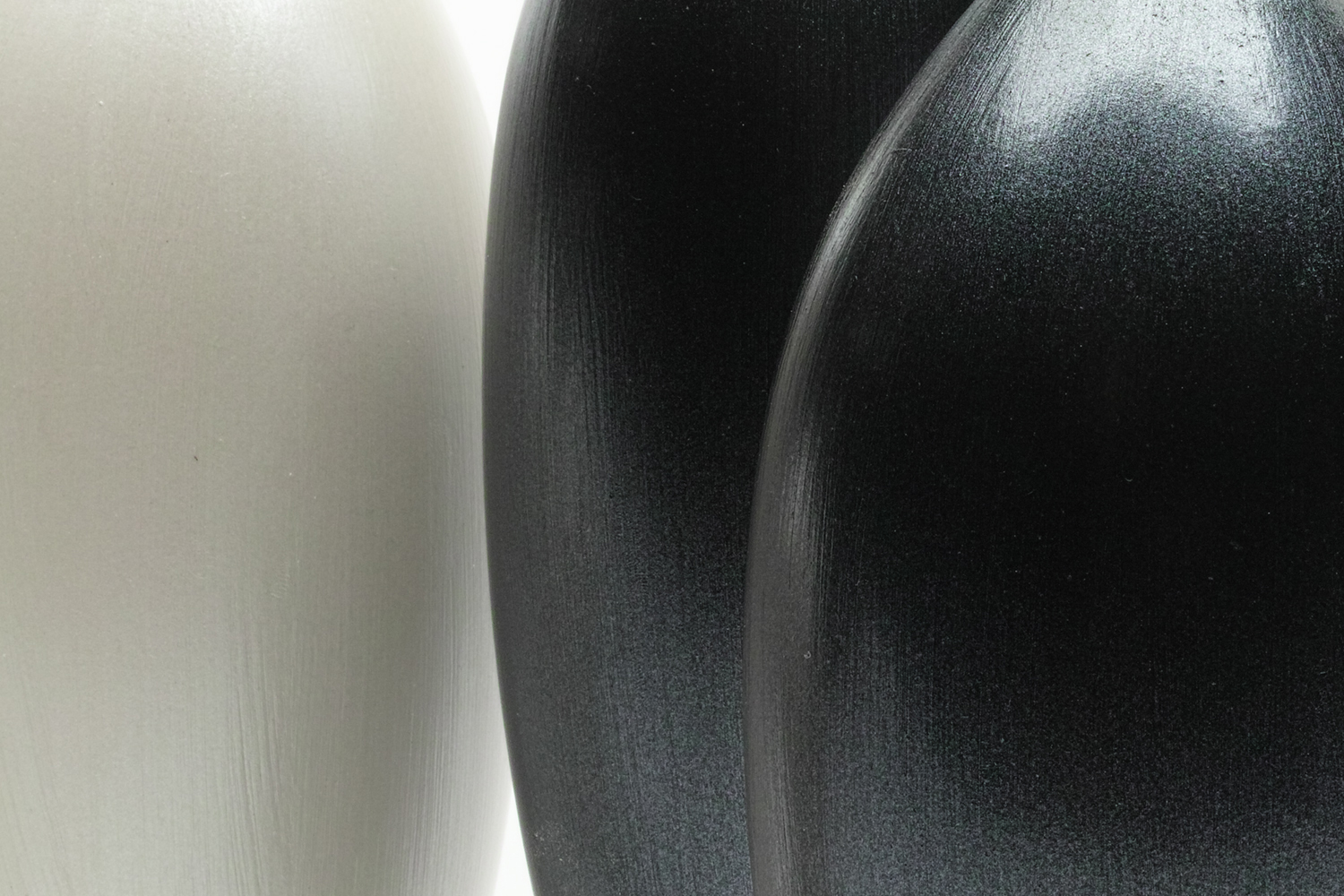 Still Life: Swans Detail