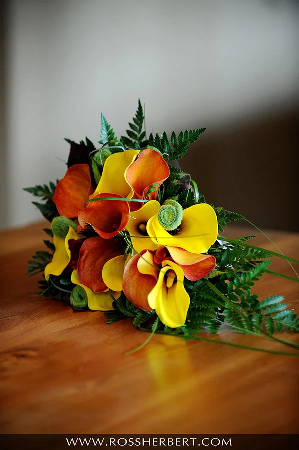 DSC_2984_1.jpg