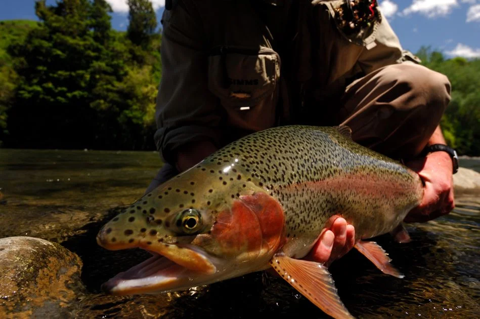 fishing_gallery__082.jpg