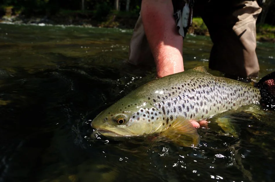 fishing_gallery__061.jpg