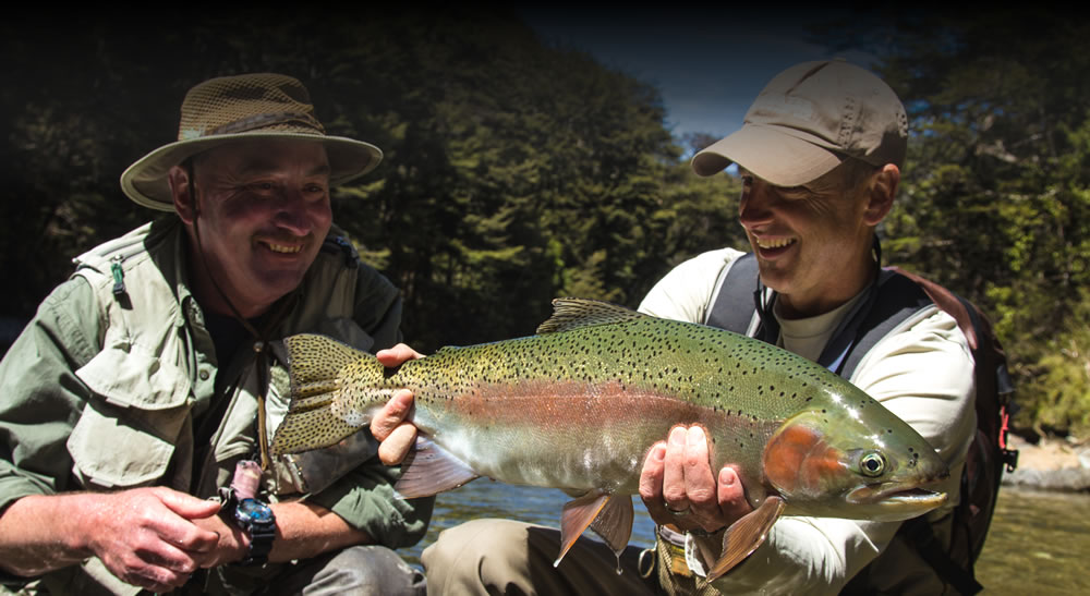 Wild New Zealand Rainbow Trout