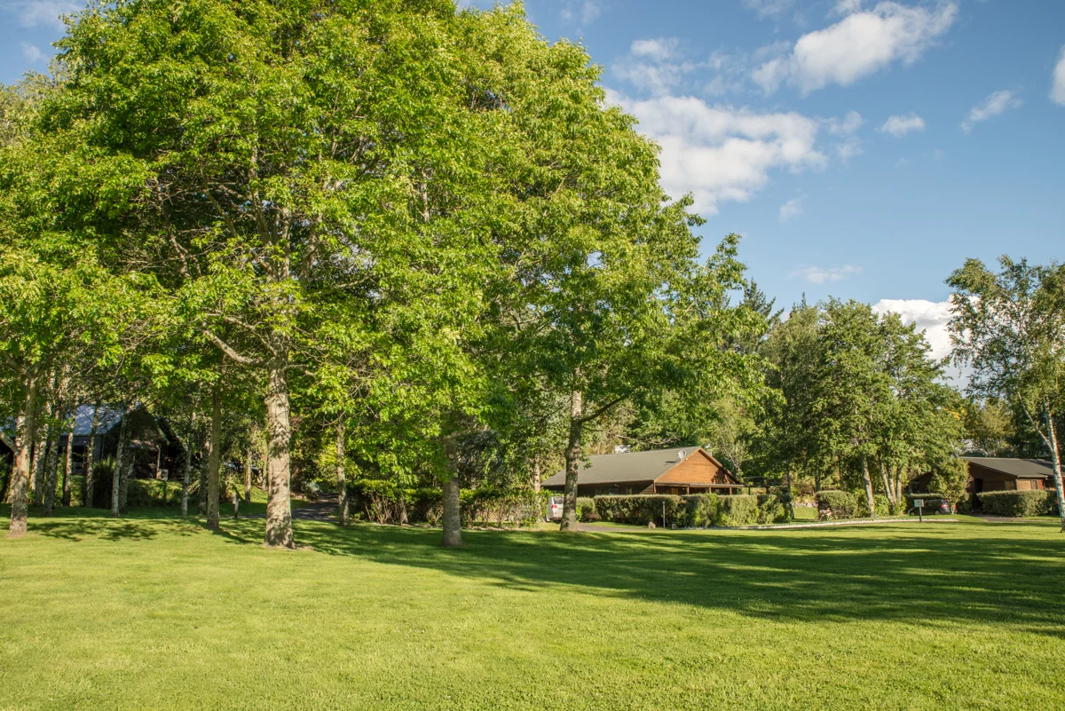 Beautiful Grounds