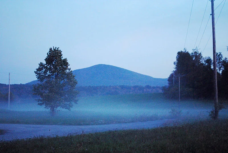 fog.jpg