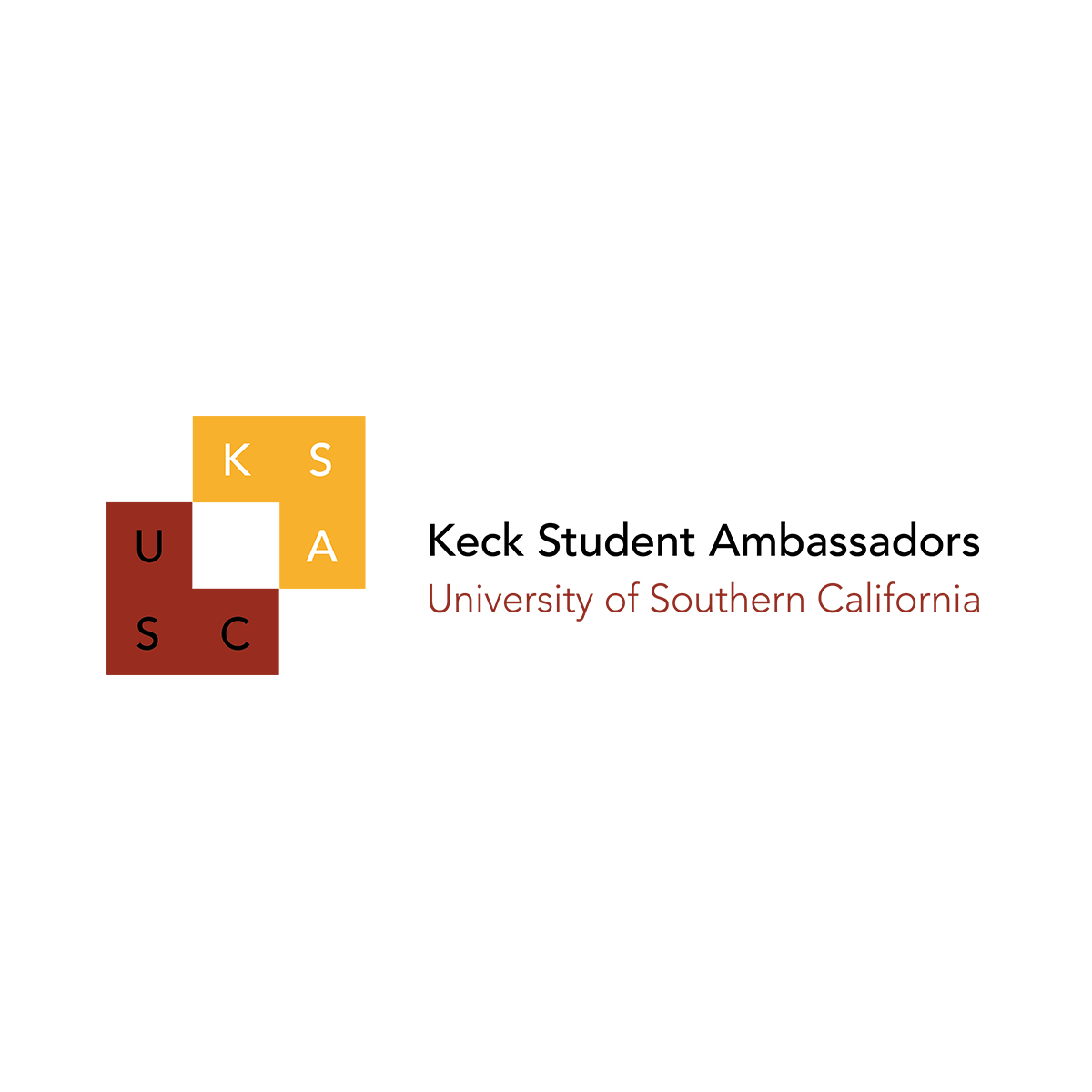  After designing the main logo, the goal was then to design an "Identity System".  Every visual representation should have variations that are easily recognizable, yet as versatile as possible.  As a result, the student organization now has a plethor
