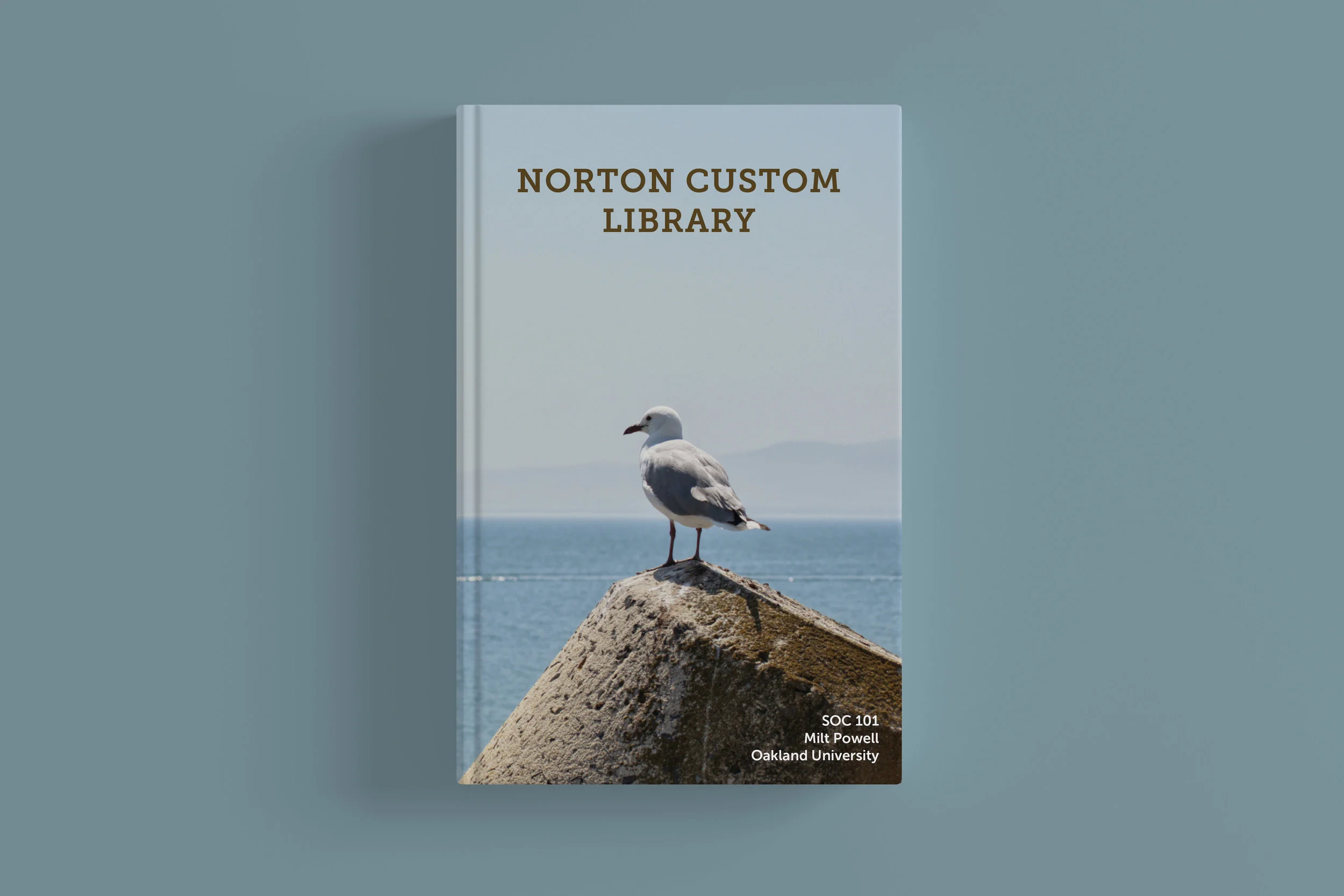 NCL_Seagull Mockups 1.jpg