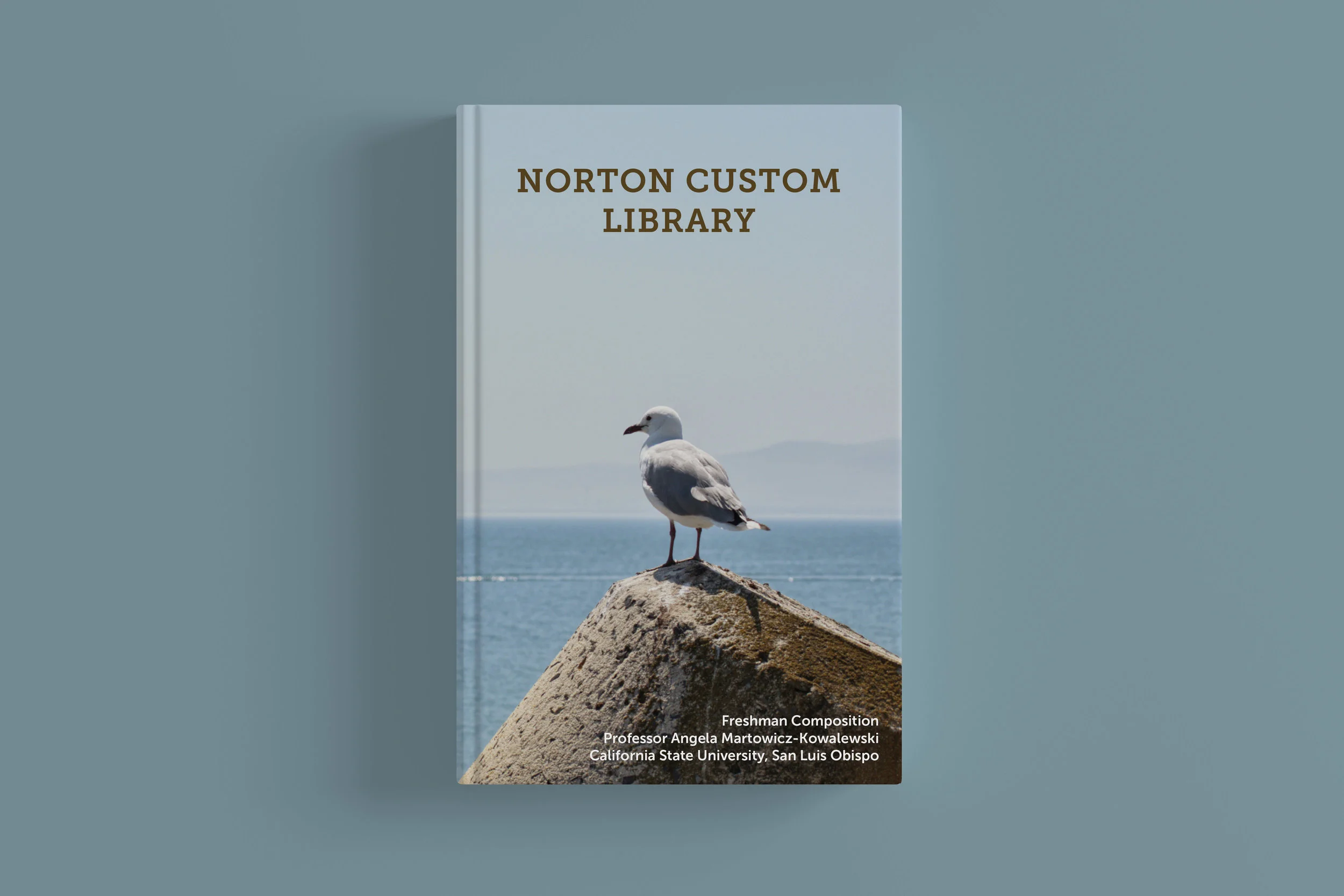 NCL_Seagull Mockups 2.jpg