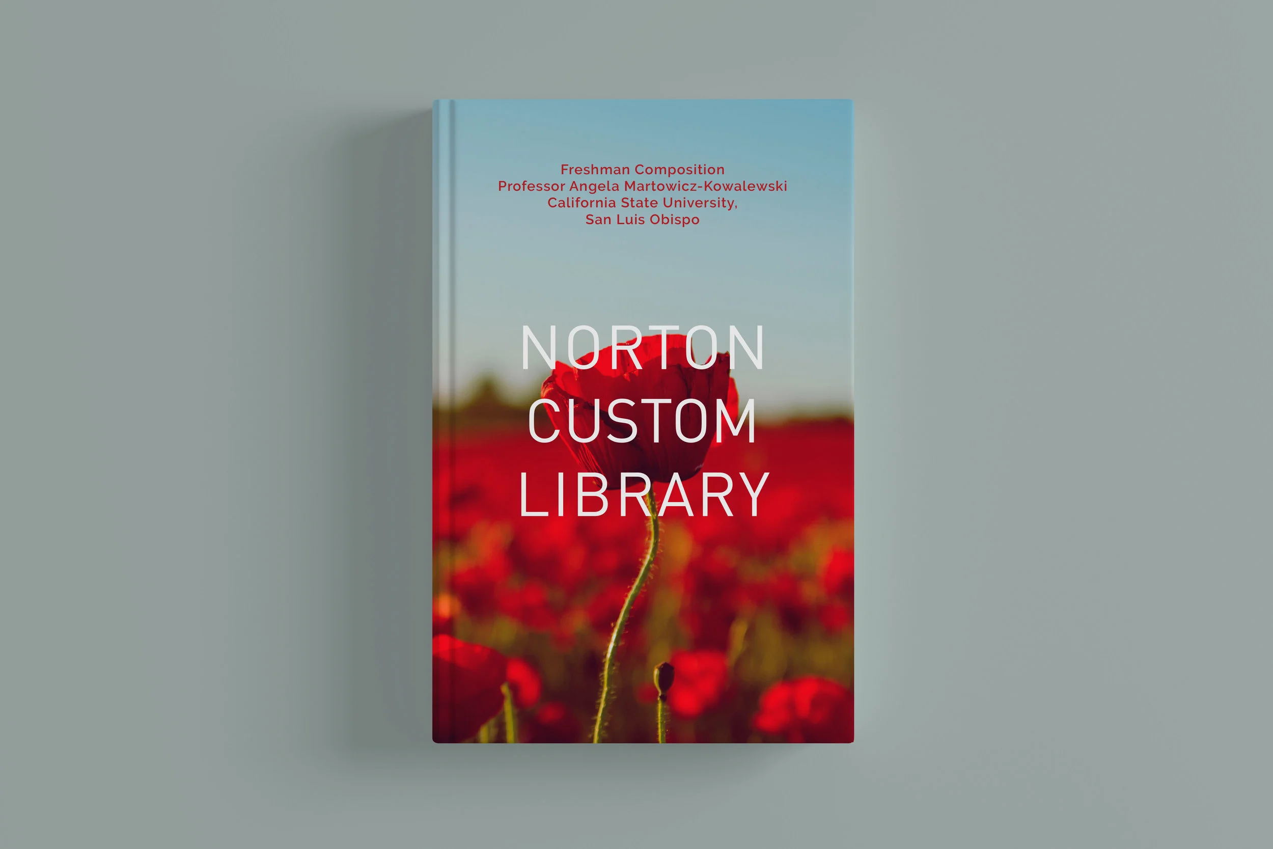 NCL_Poppies Mock ups2.jpg