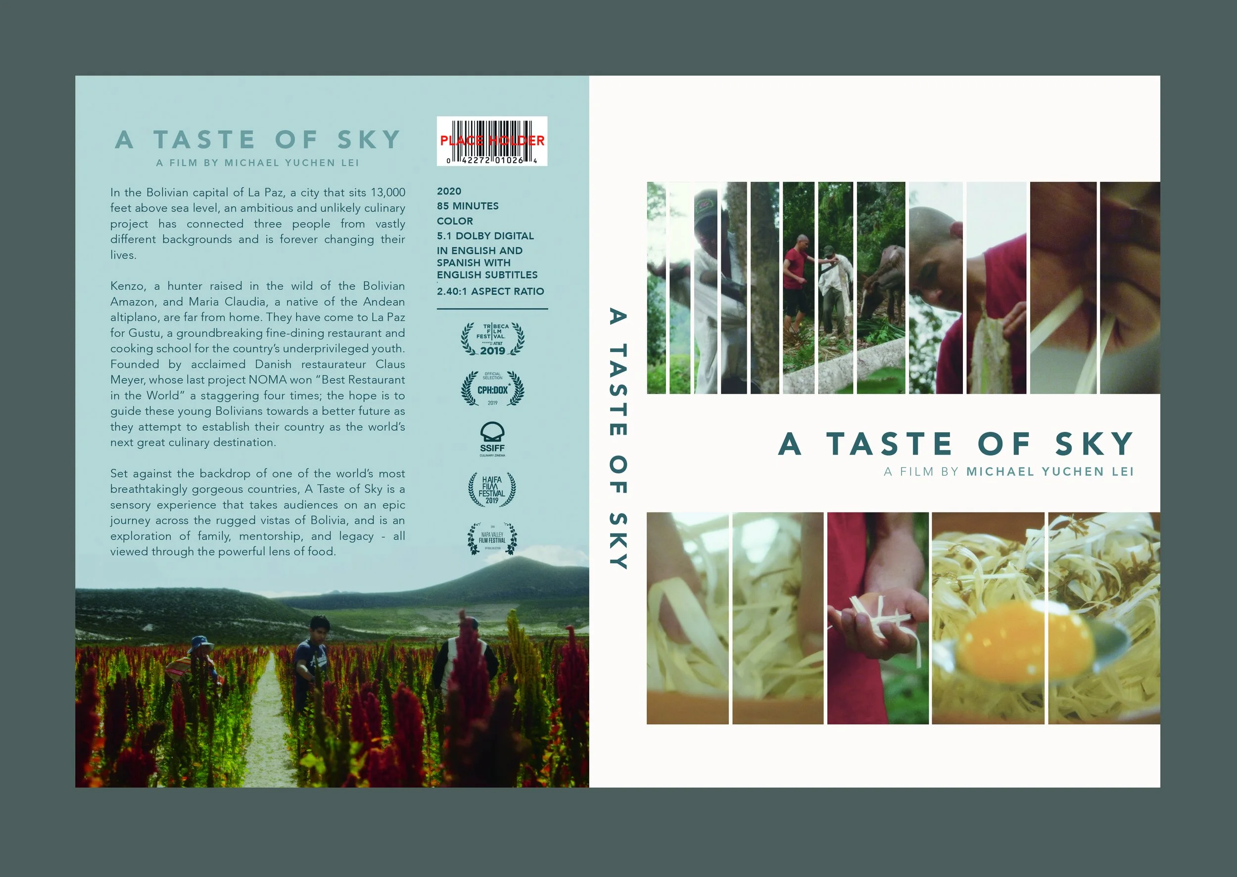 A Taste of Sky | DVD Case Flat
