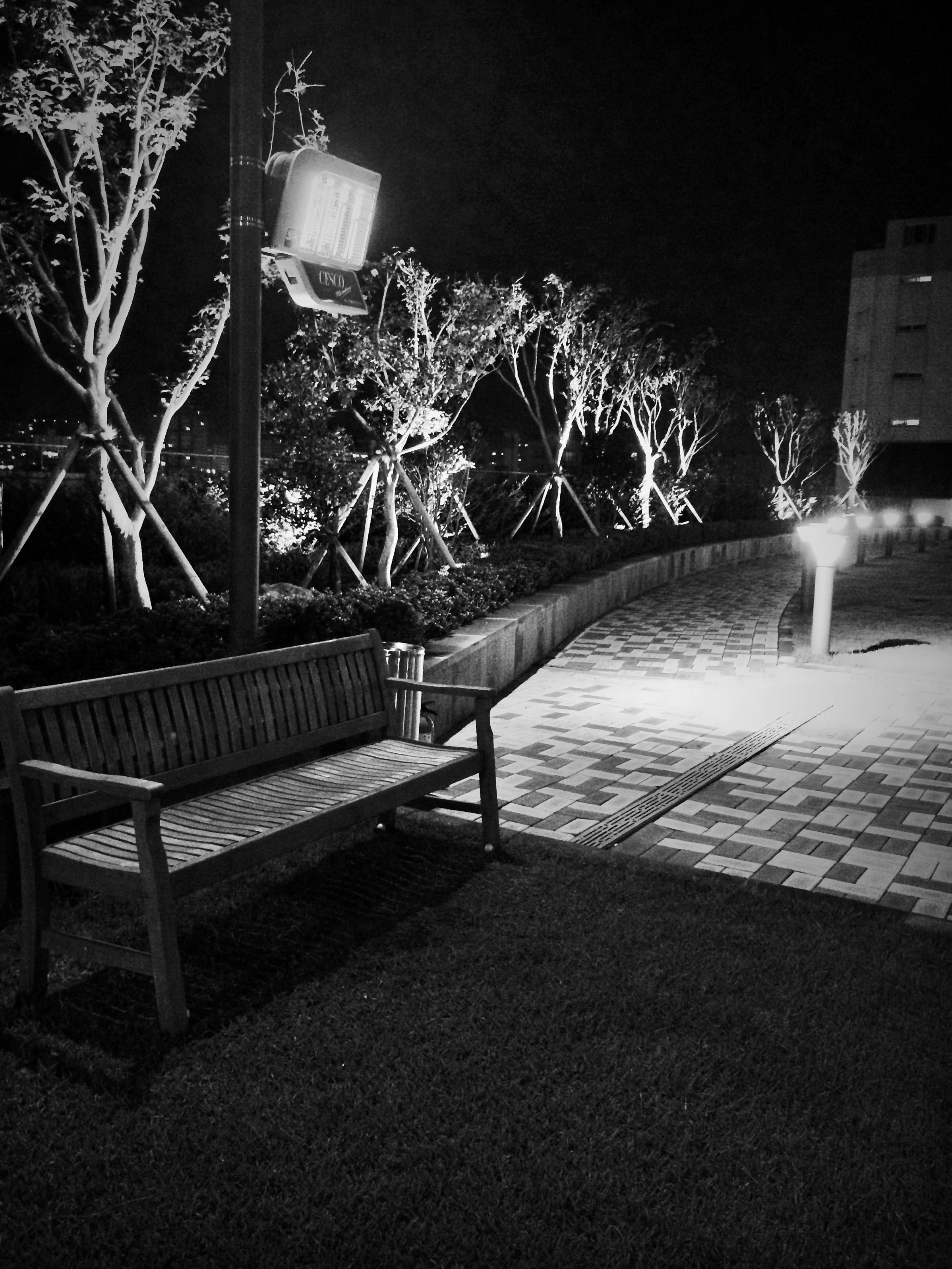 Hotel rooftop. 
