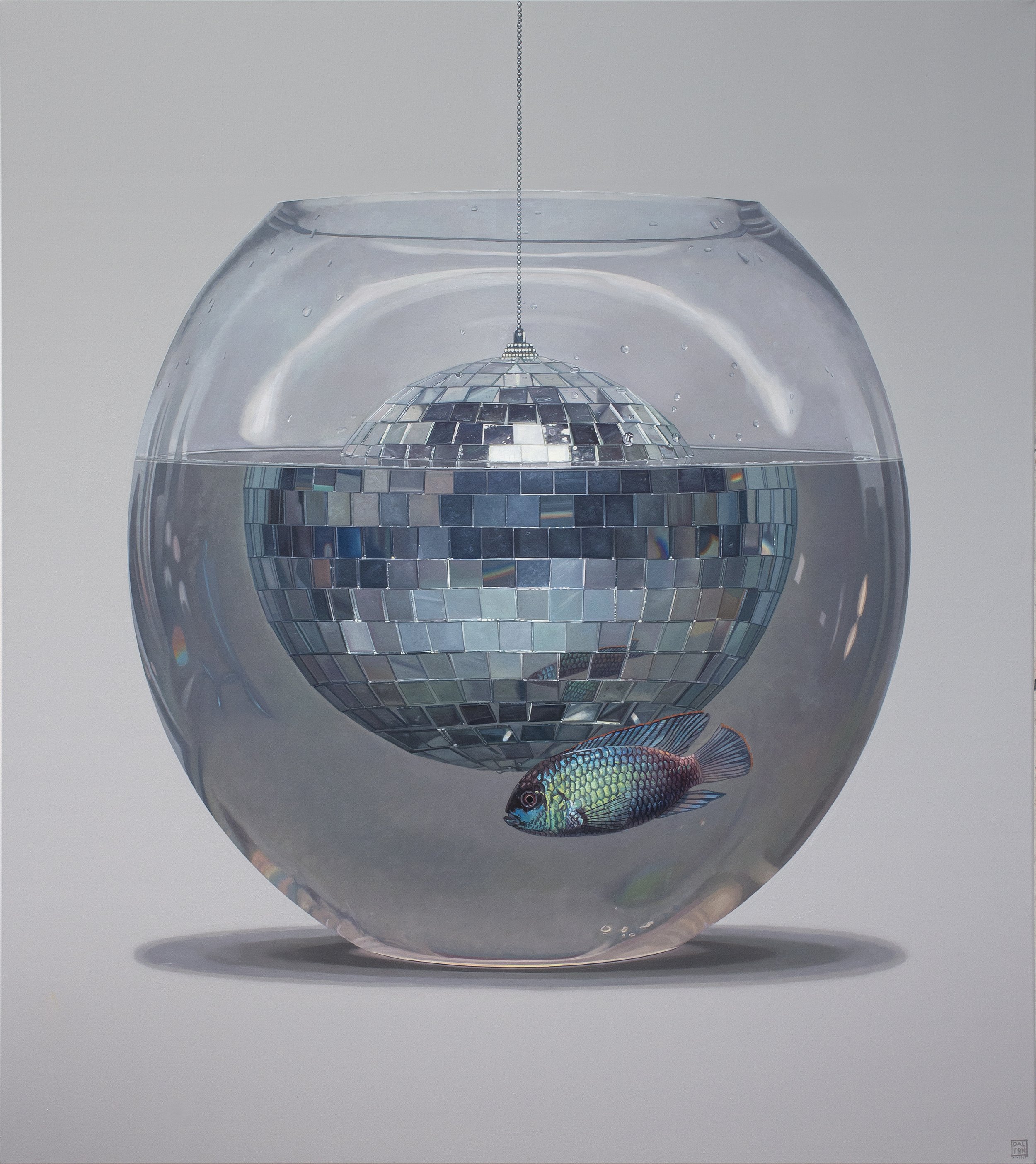 DISCO! 122x137cm Oil on Linen Jonathan Dalton.jpg