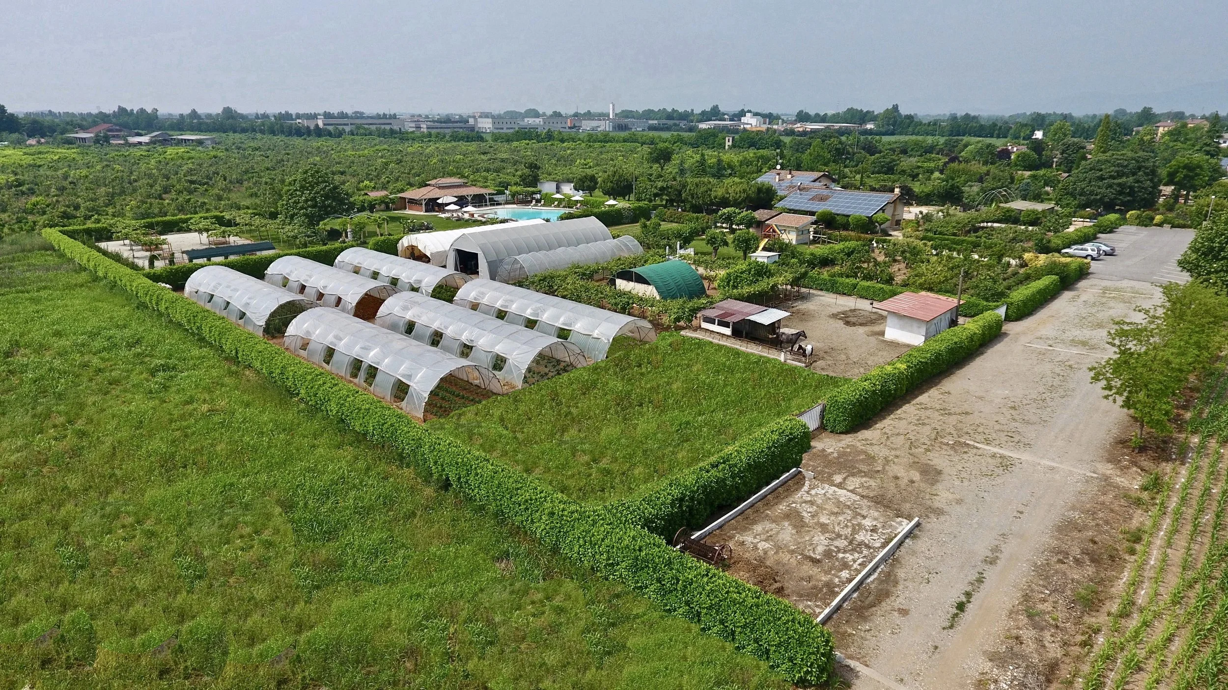 DJI_0029.jpg