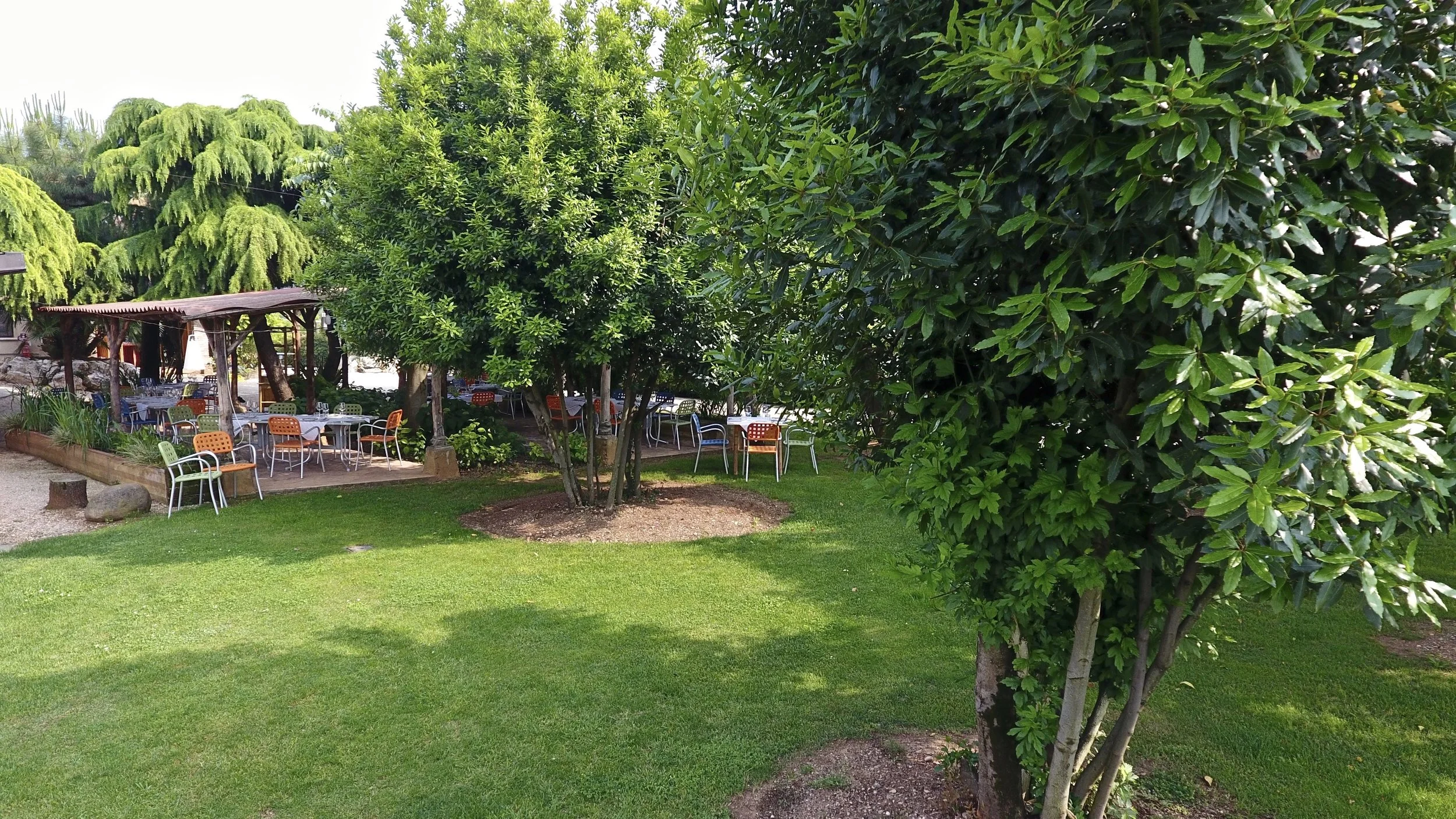 DJI_0050.jpg
