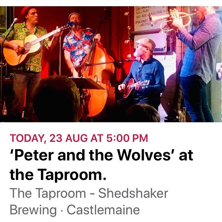 Livestream gig, link in my profile! Tonight at 5pm AEST I&rsquo;ll be playing with Peter and the Wolves in a socially distanced gig live streamed from the @shedshakerbrewing @castlemainetaproom.