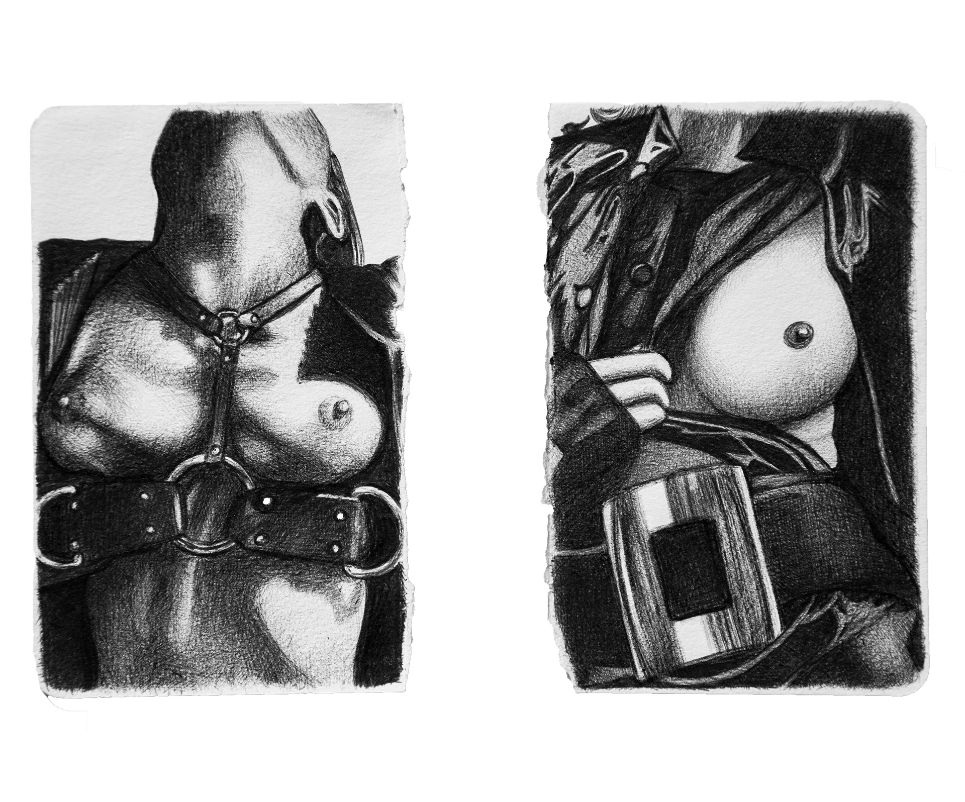Studies in S&M