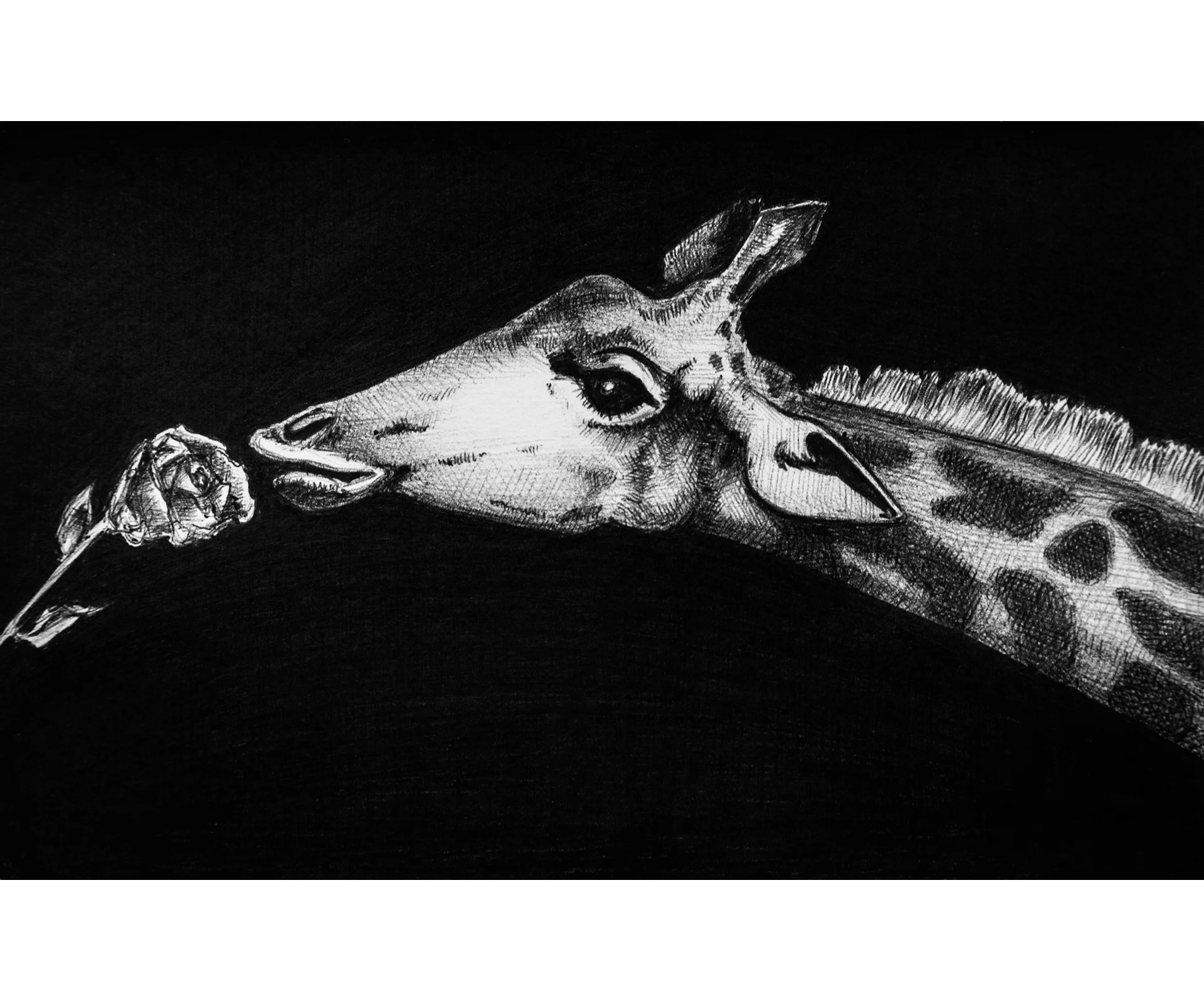 Wake Up and Smell the Roses, the Giraffe Edition