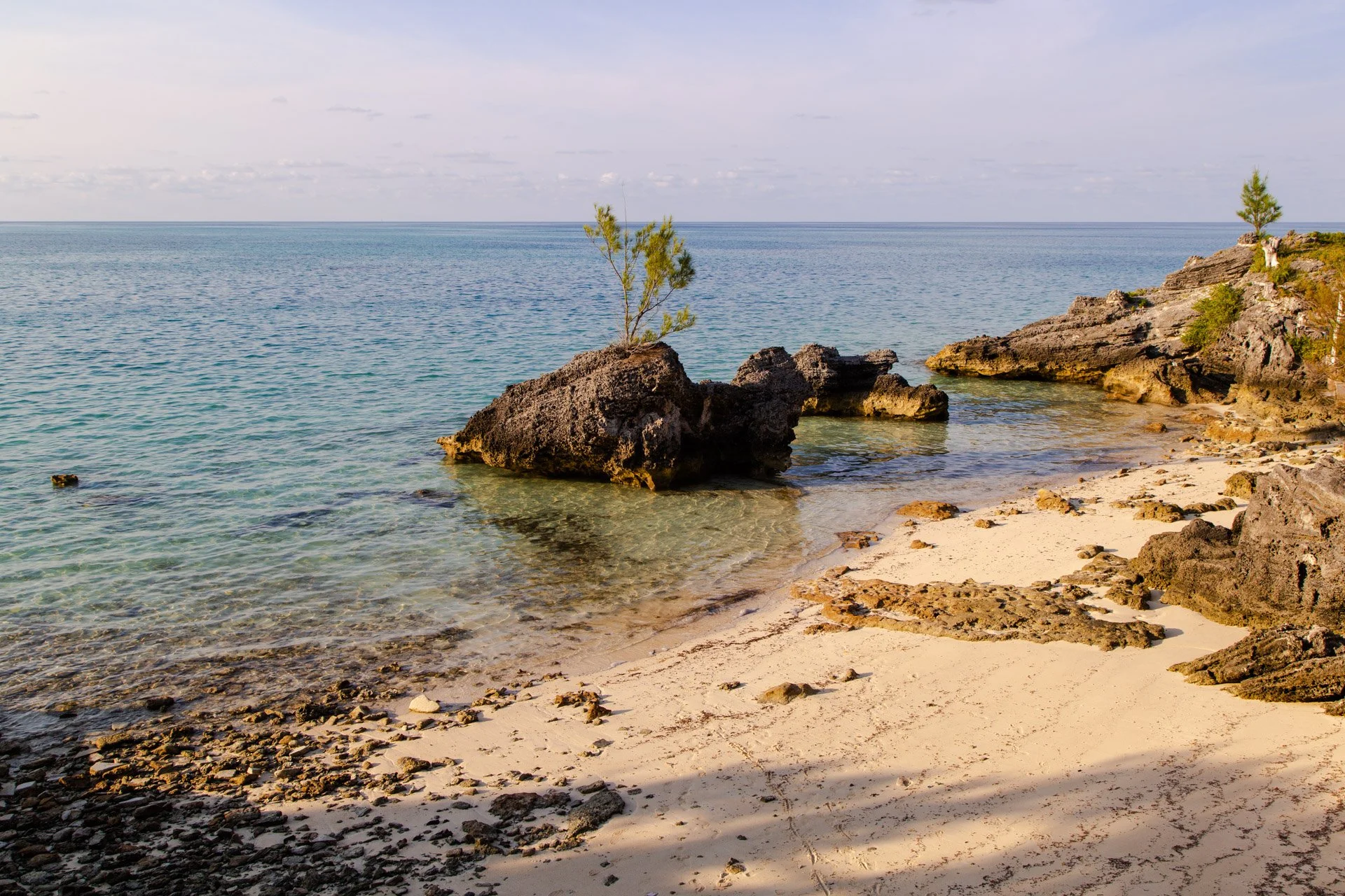  Bermuda, 2022 