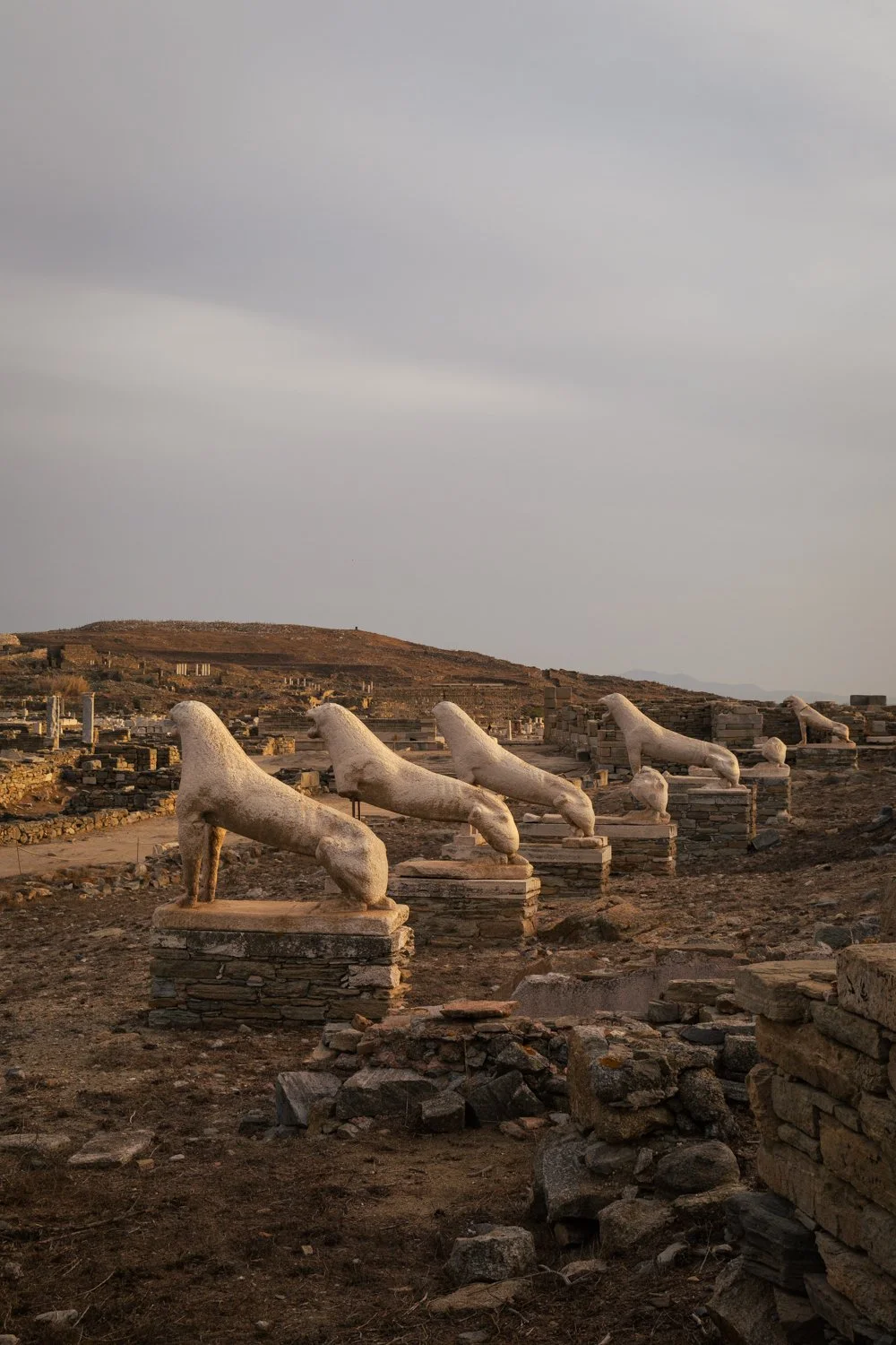 Delos Lions 