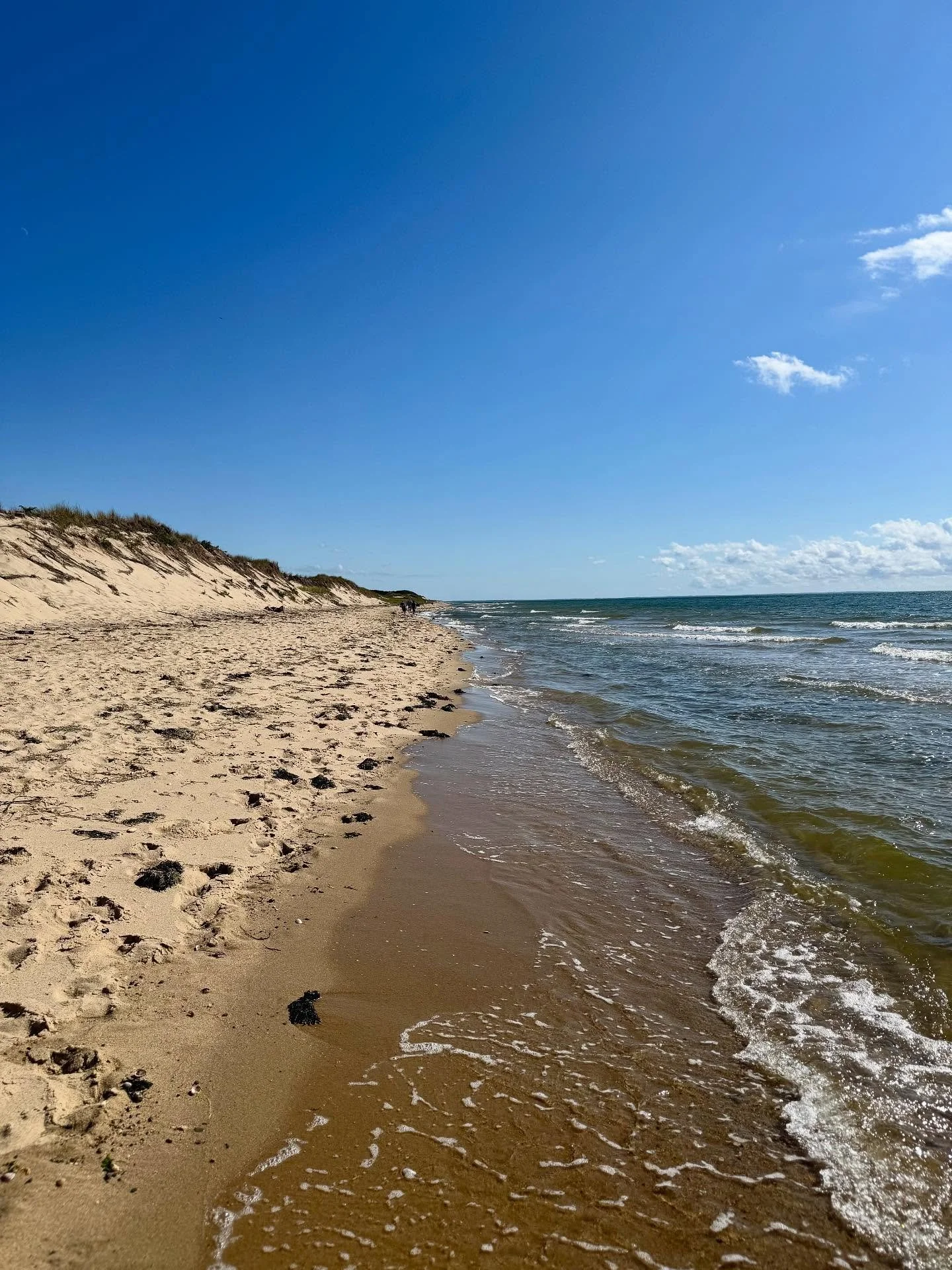 Cape Cod, summer 2025.

A few highlights&hellip;

Hiking Great Island Trail in Wellfleet: I somehow only discovered this spot last year, but it is now one of my favorite places to visit with some of the most stunning views on the Cape. You can walk a