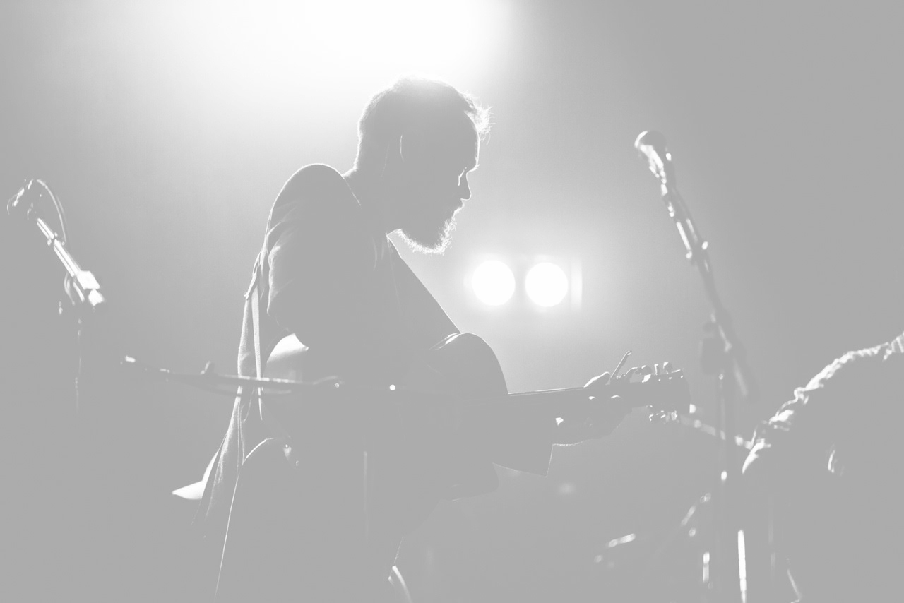 Andrew Peterson.jpg