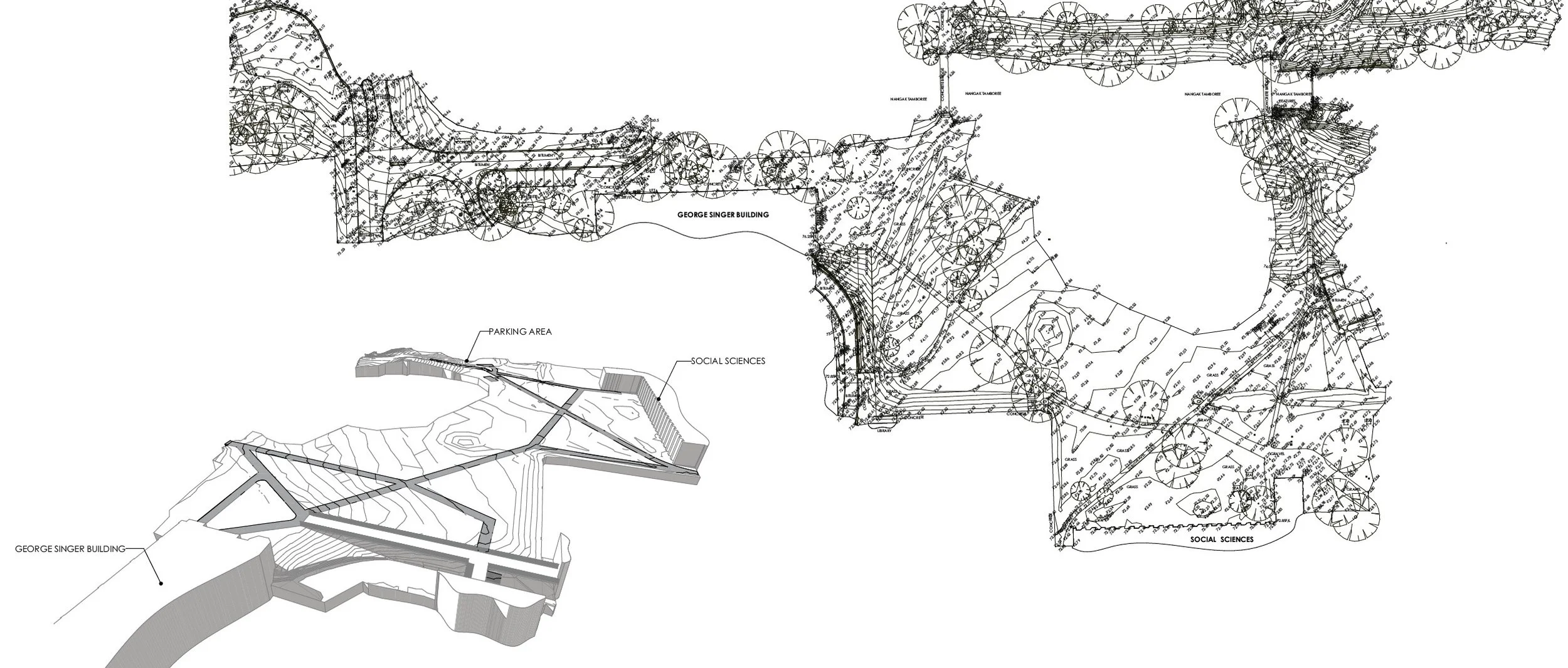 Survey - Pathways.jpg