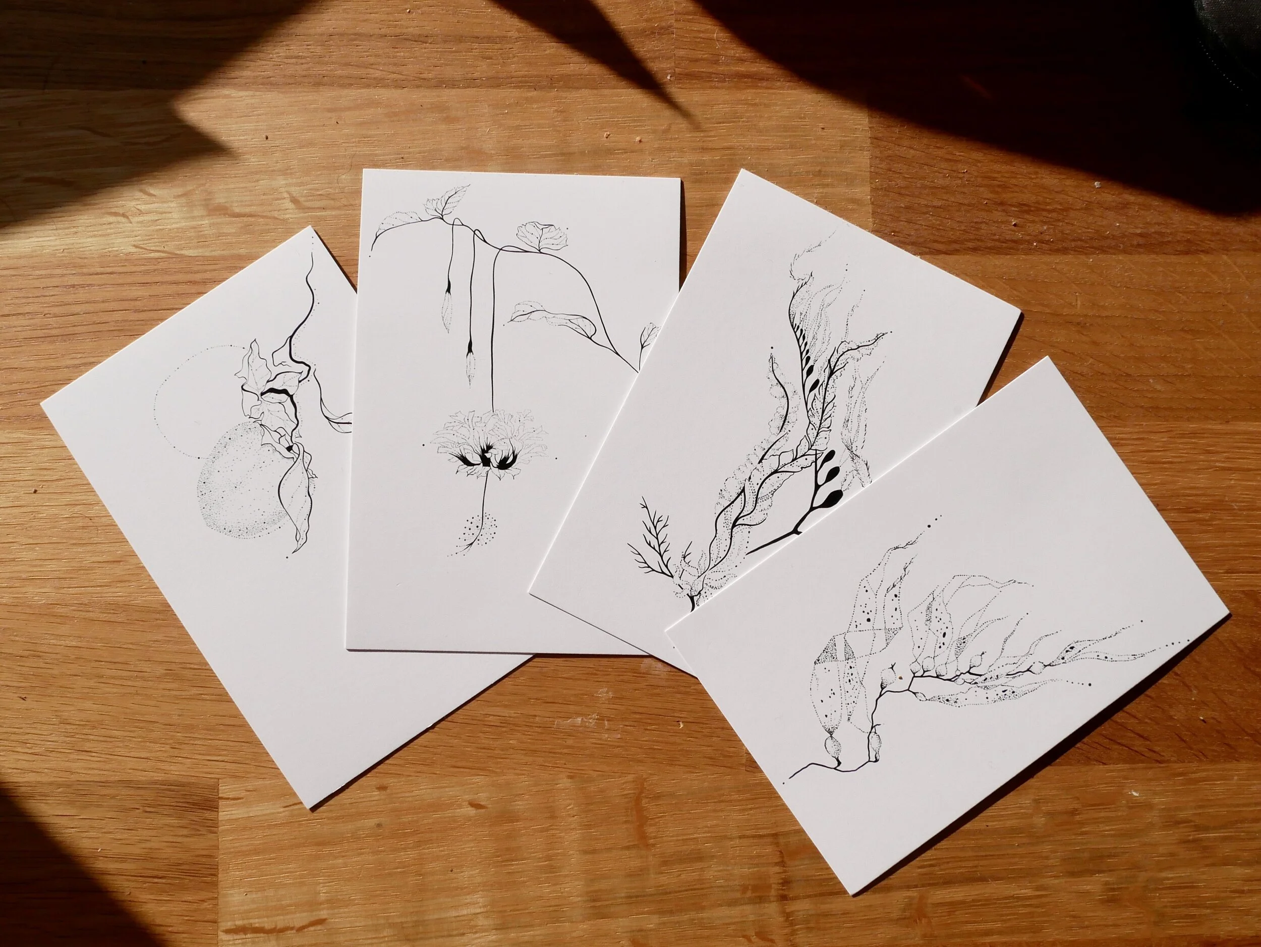Botanical Postcard Pack