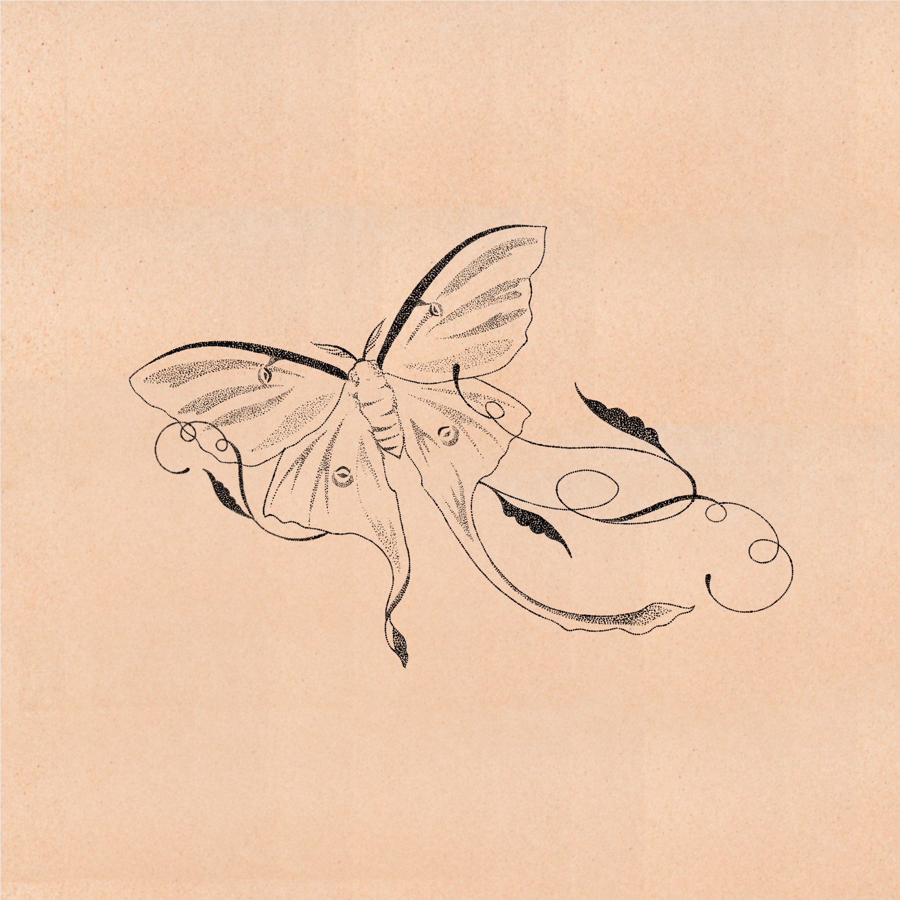 IMG_0509.png