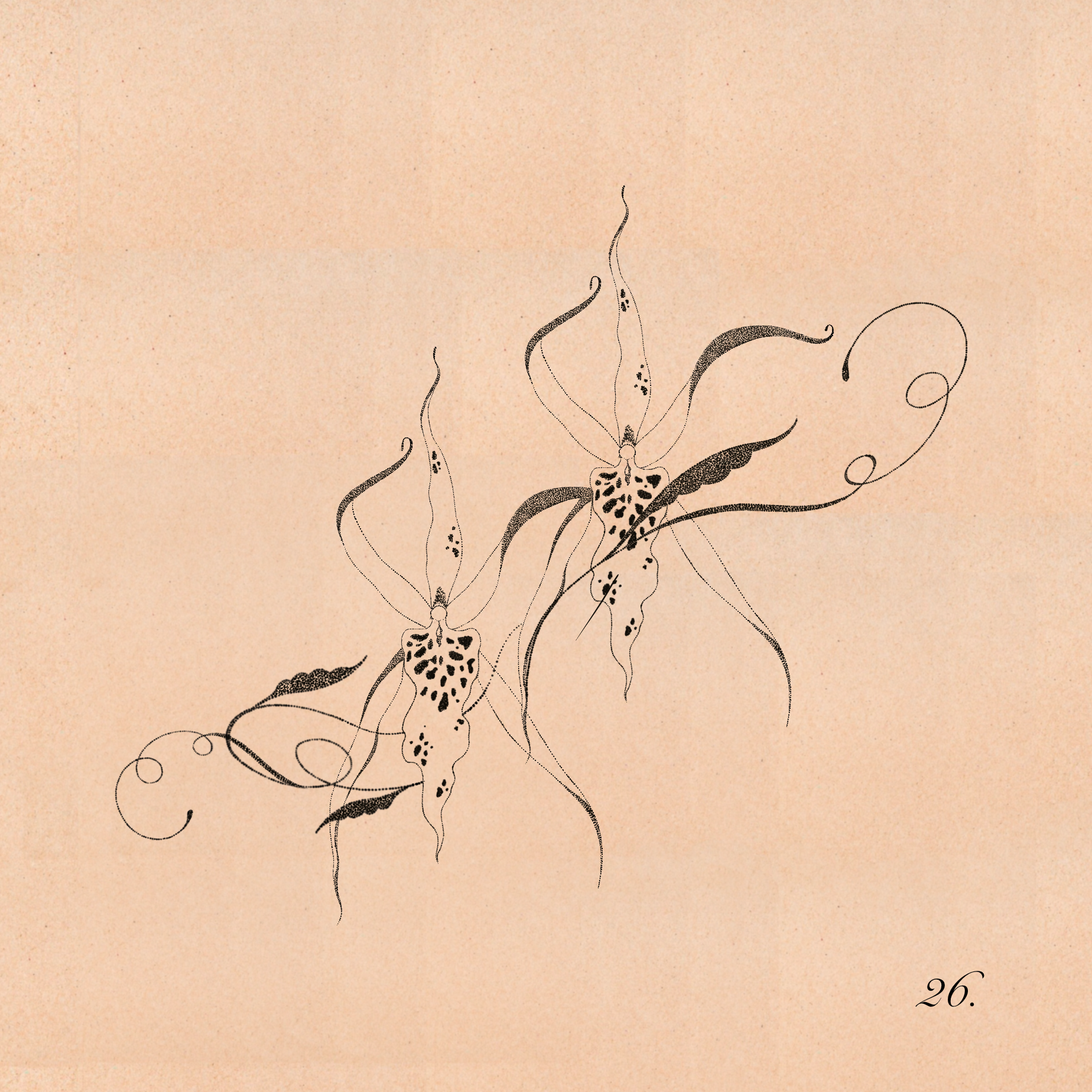 IMG_0511.png