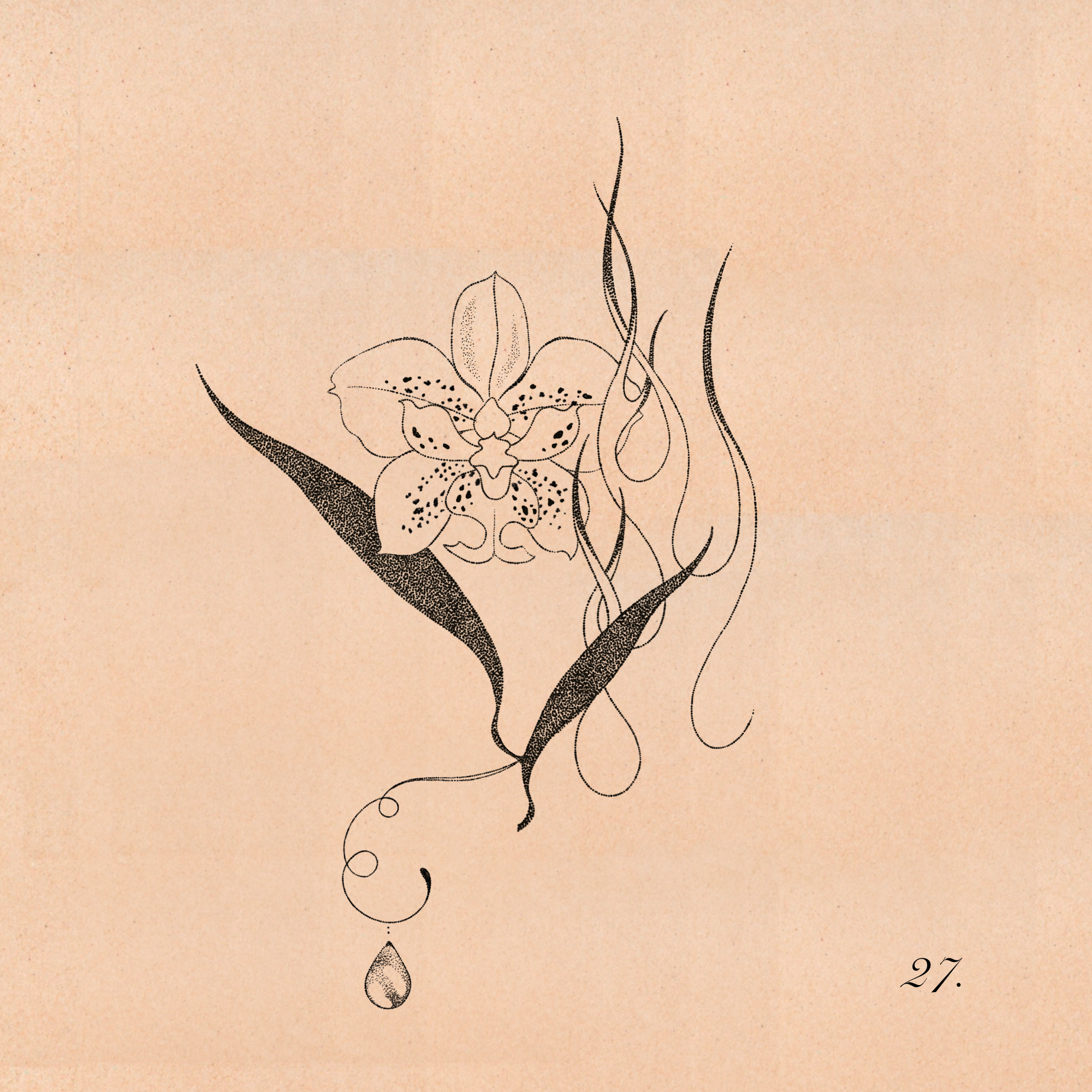 IMG_0512.png