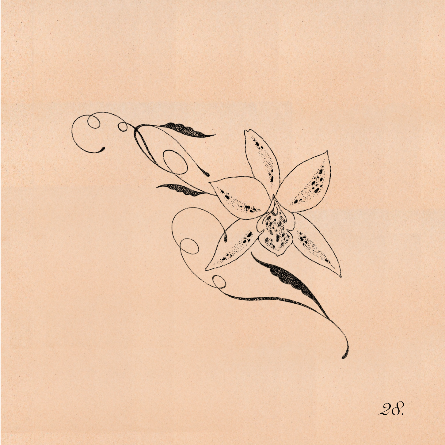 Untitled_Artwork 100.png