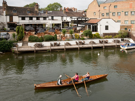 rowers outside swan.jpg