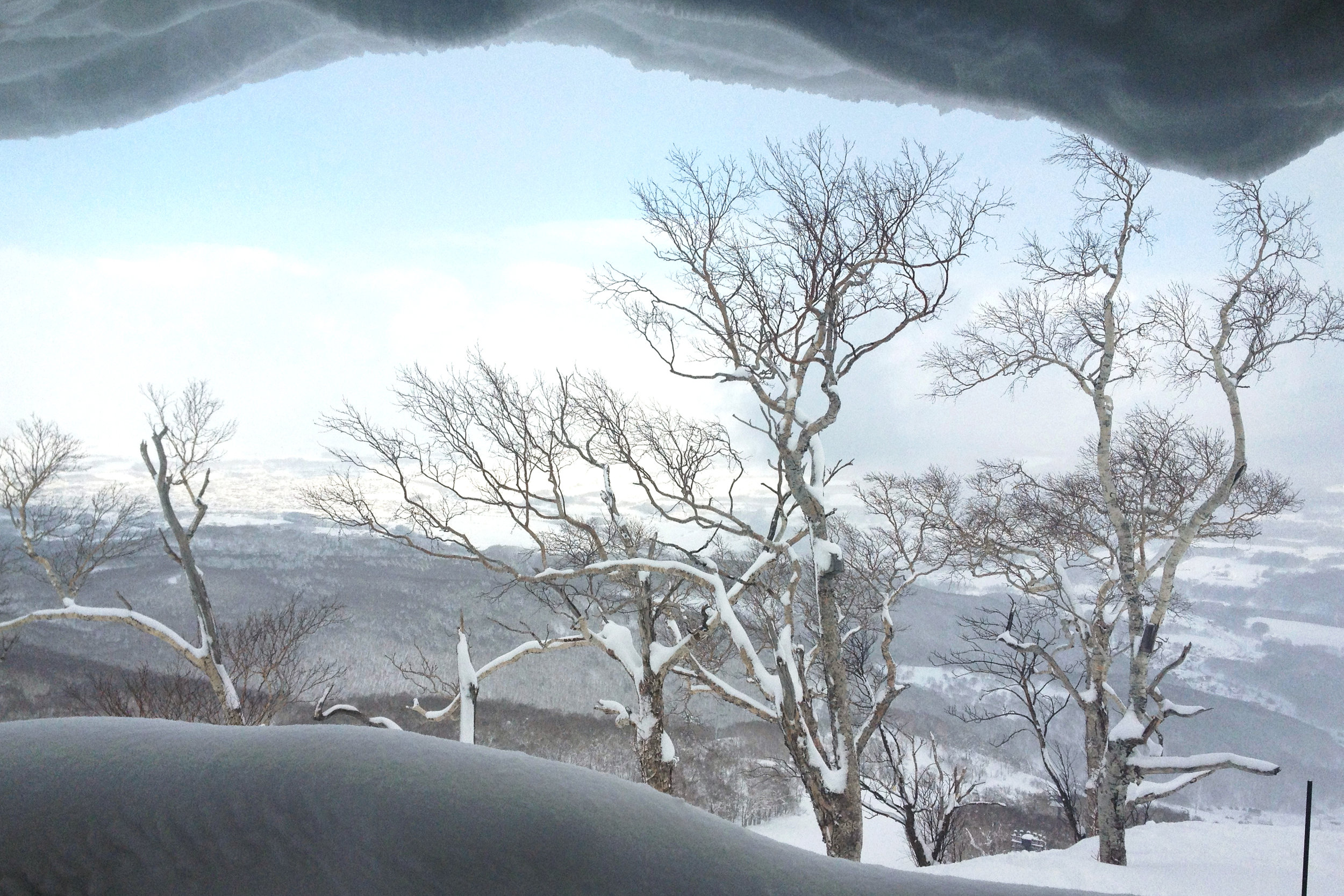 Niseko