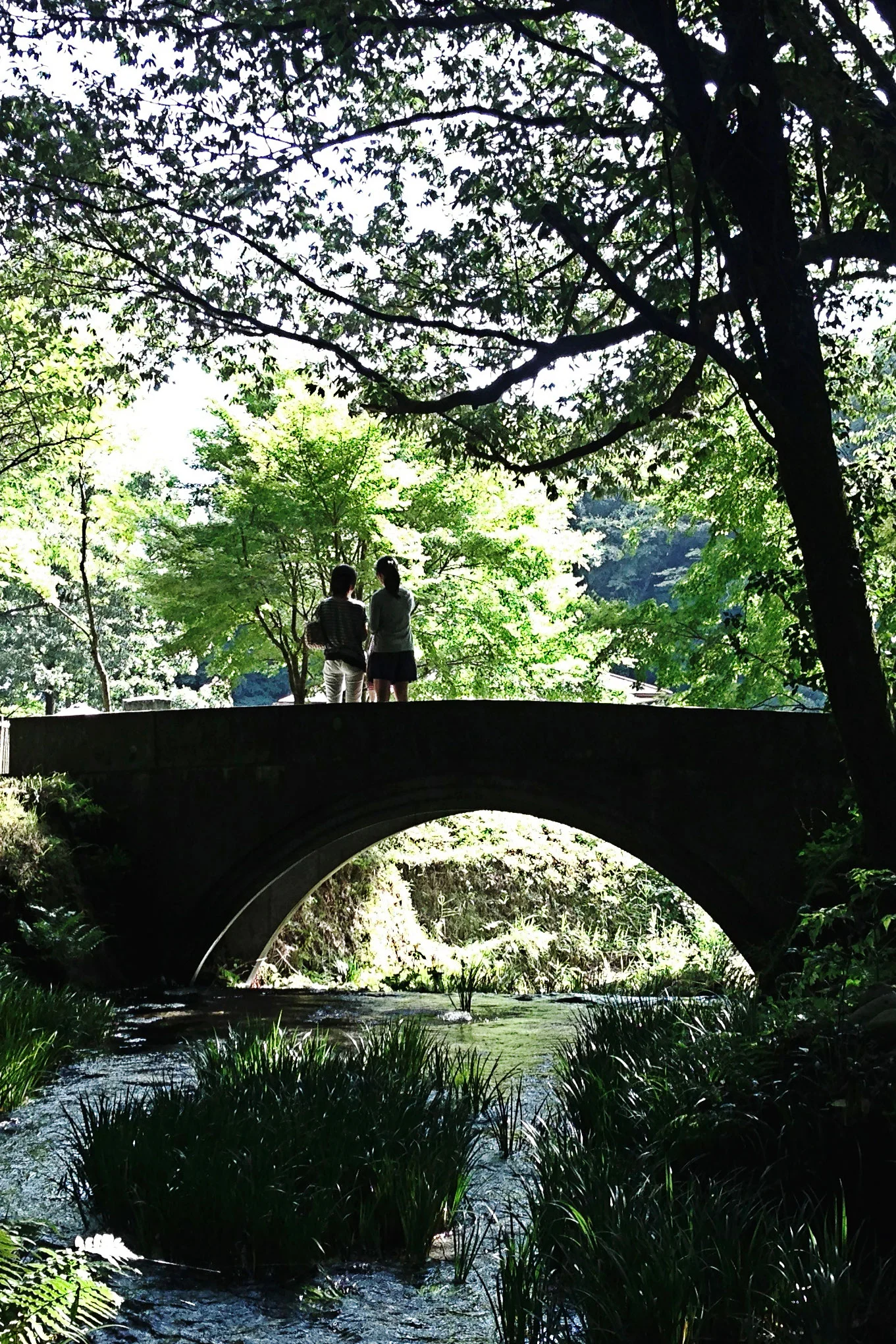 A bridge over Ikeyama Suigen spring
