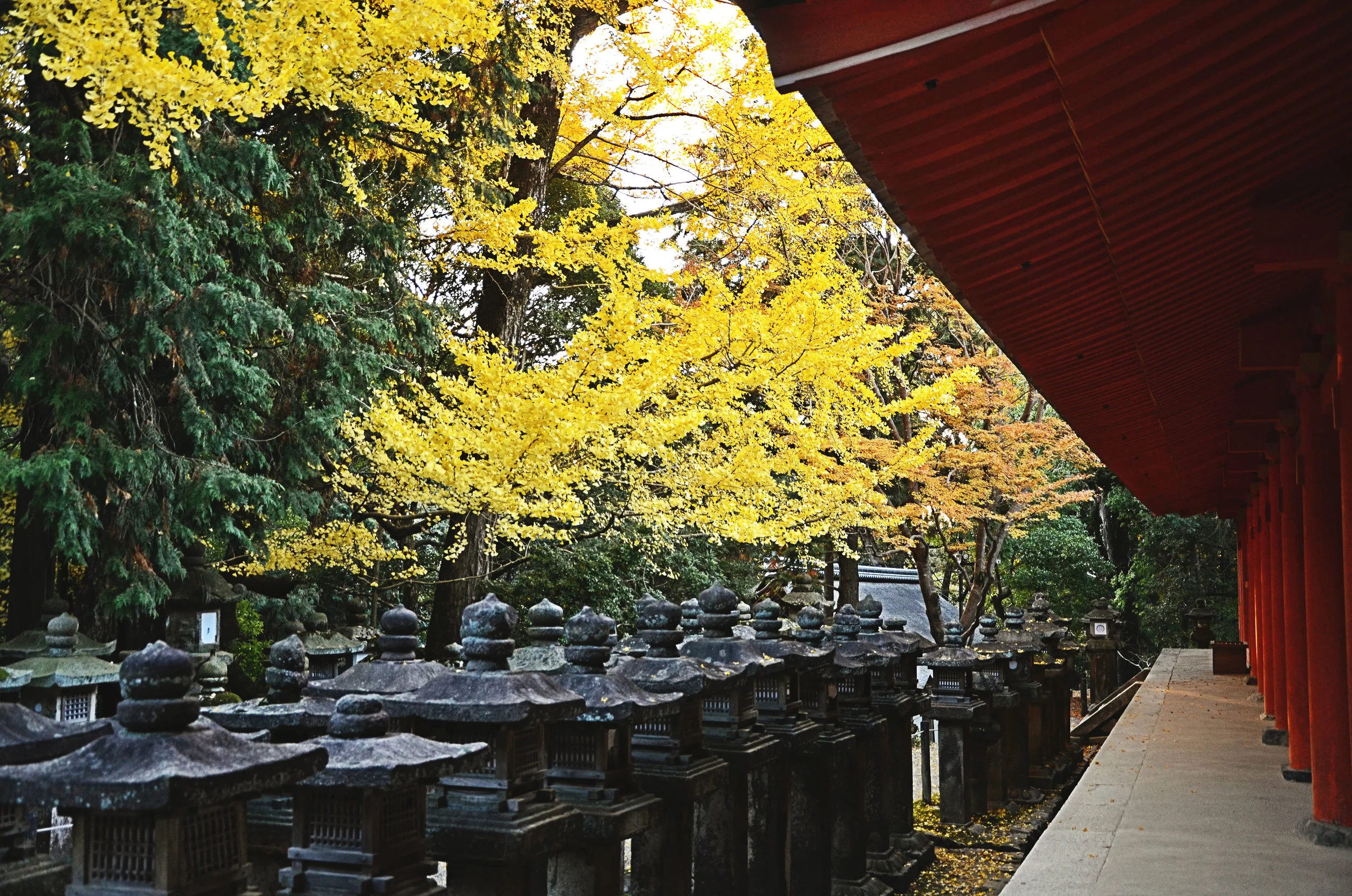 Kasugataisha