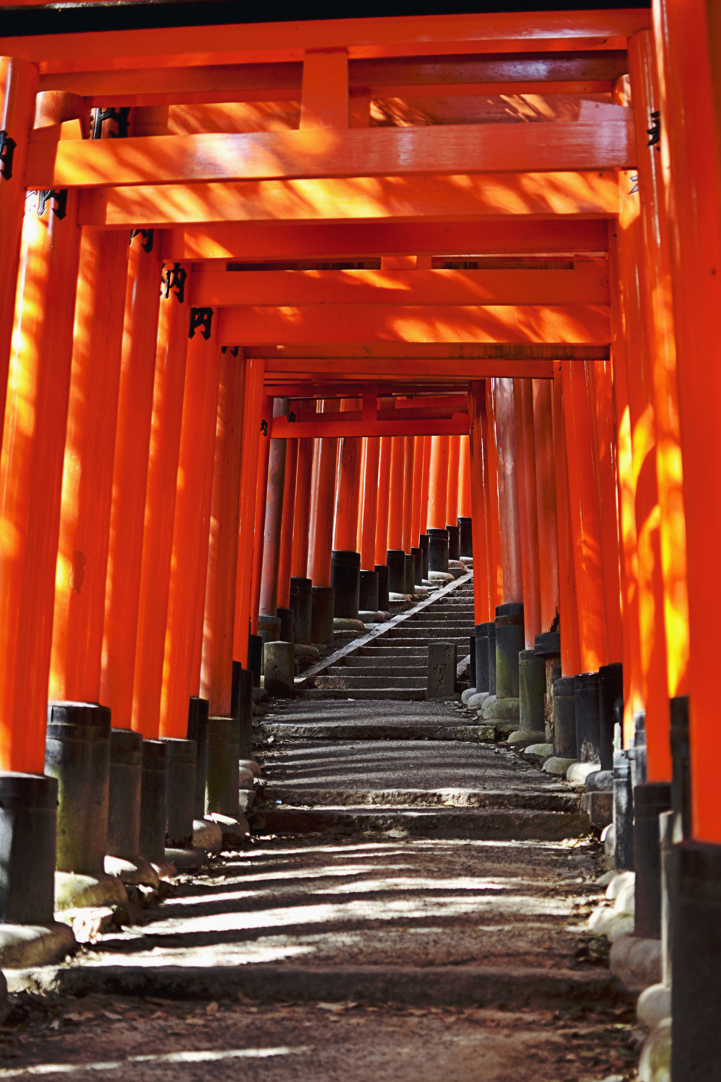 The walk at Fushimi Inari shrine in Kyoto
