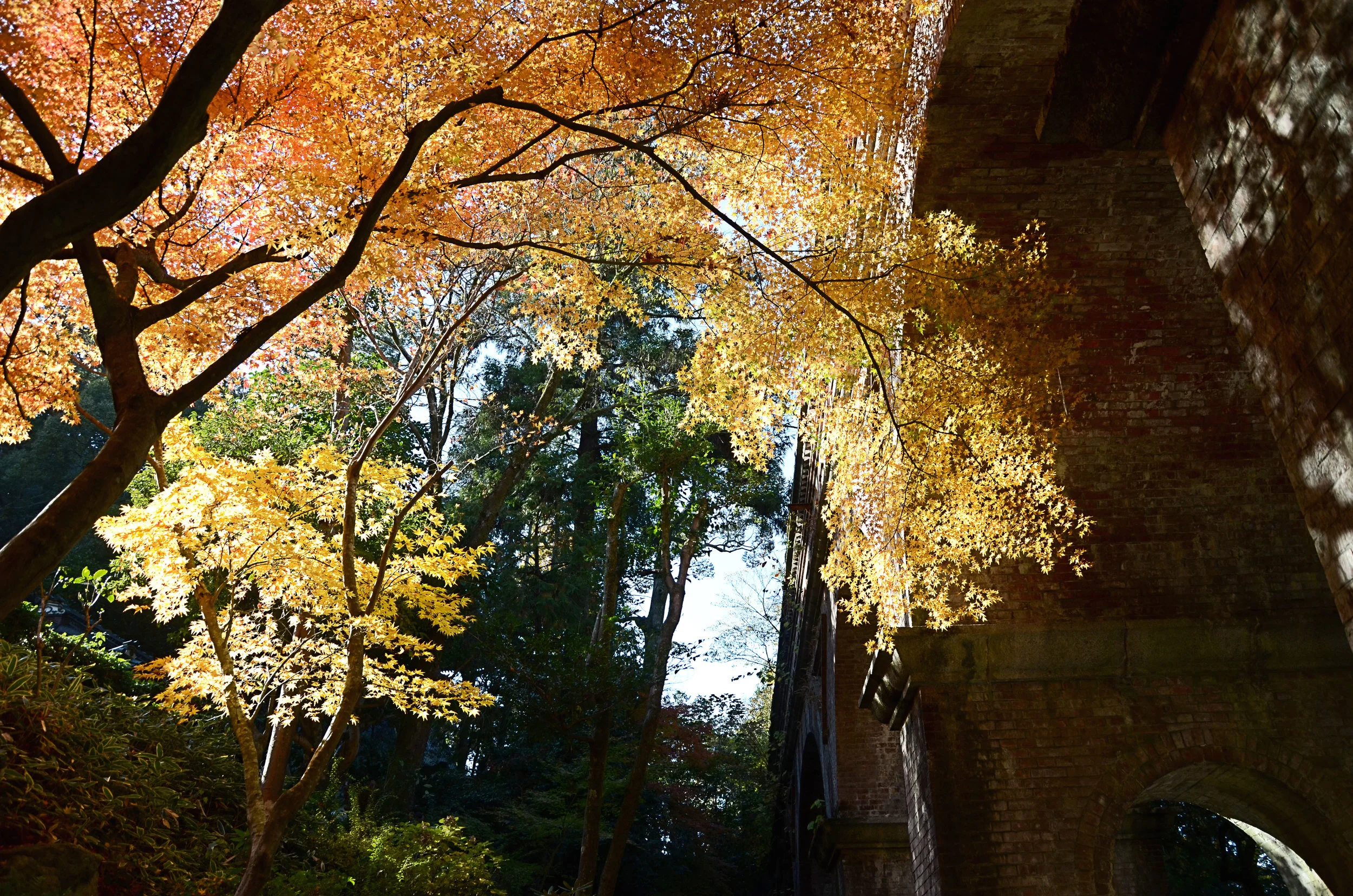 Fall leaves at Nanzen-ji temple in Kyoto