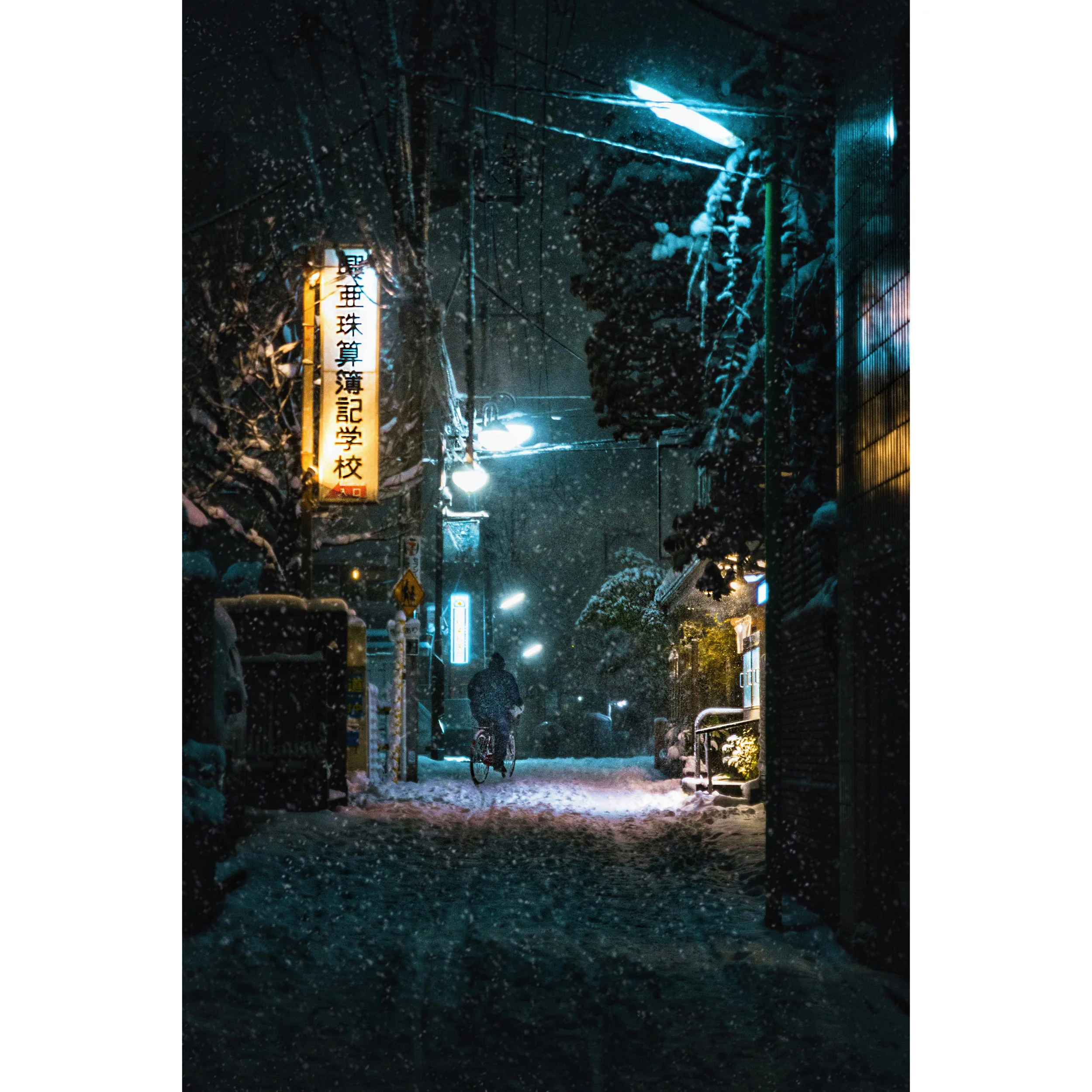 shimotakaido-snow-bicycle-01C-web.jpg