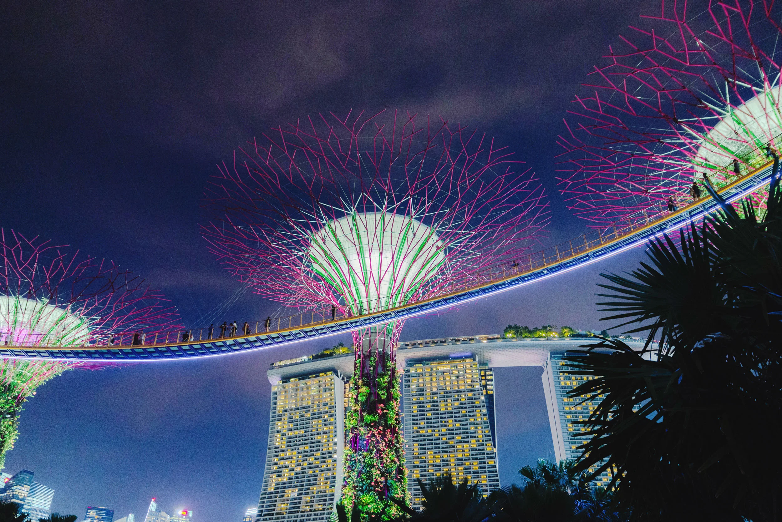 The Supertree Grove at Gardens by the Bay with Marina Bay Sands in the background