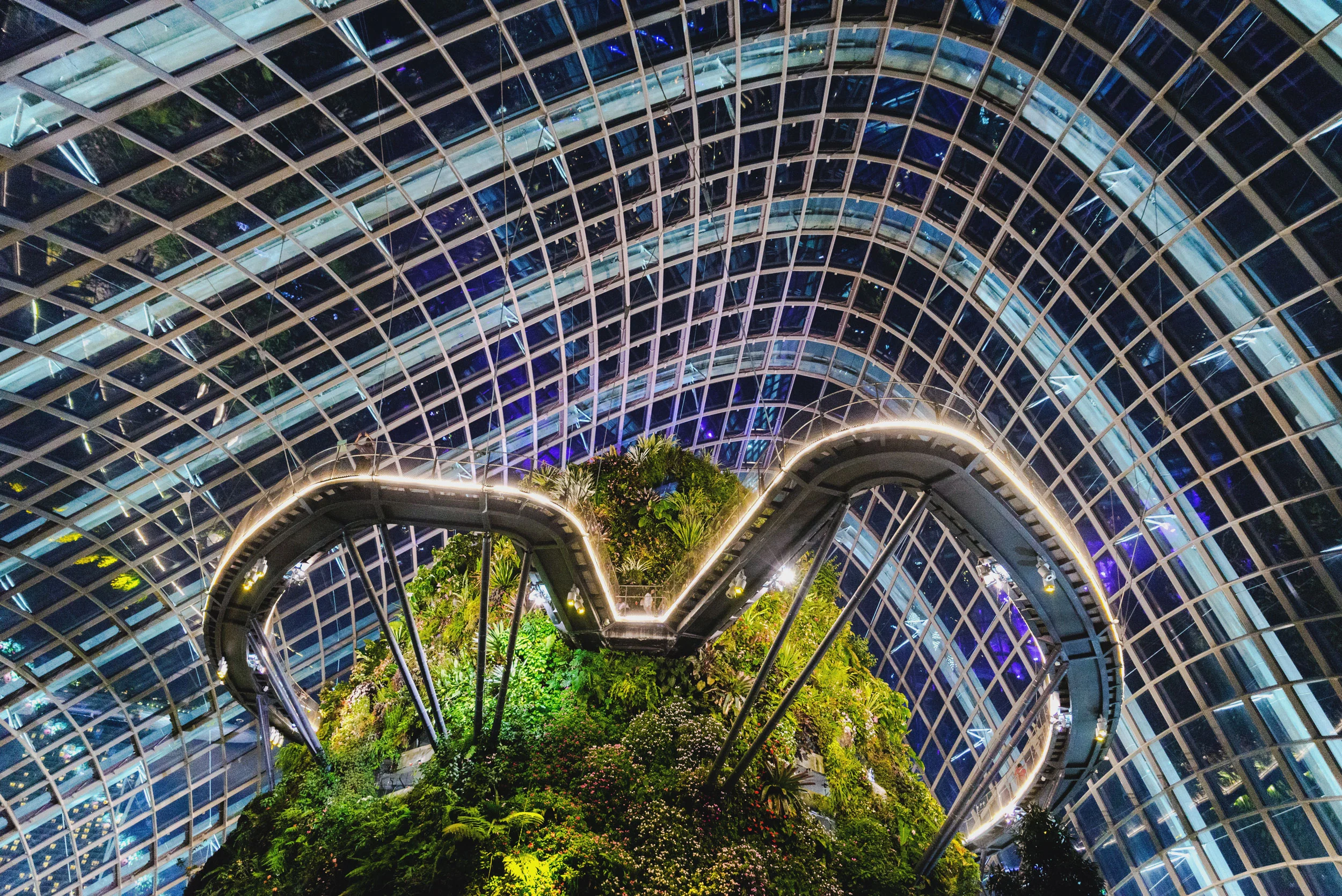 Cloud Forest at Gardens by the Bay