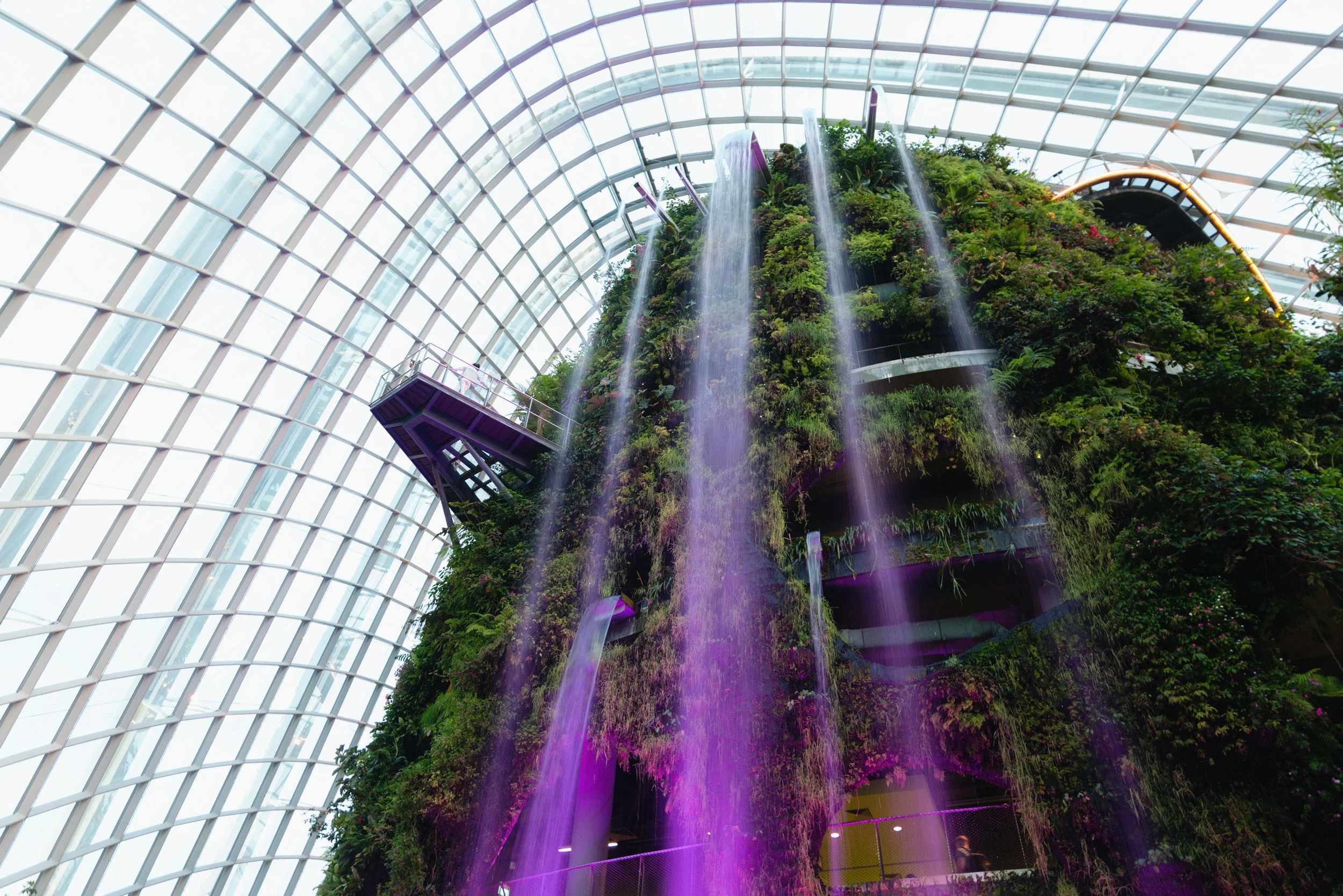 Waterfall at the Gardens by the Bay's Cloud Forest