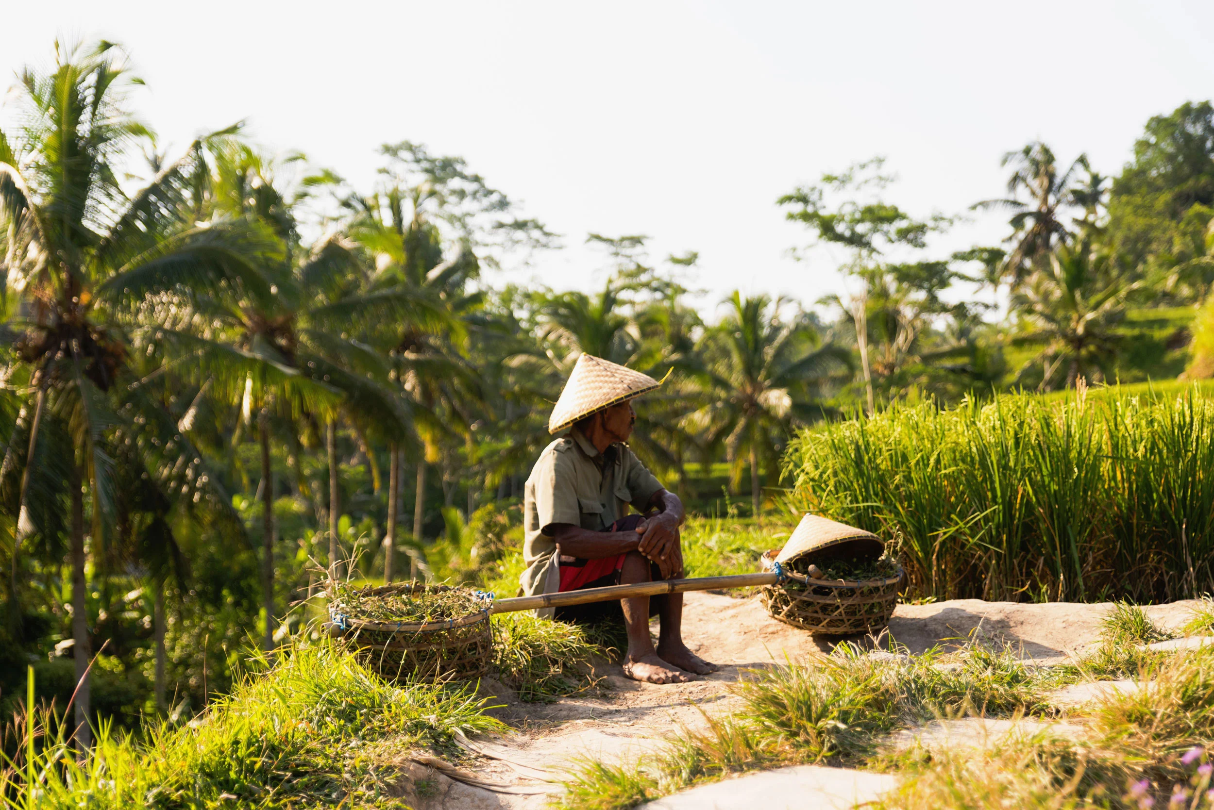 A rice field worker sits at the Tegalalang rice terraces in Ubud, Bali