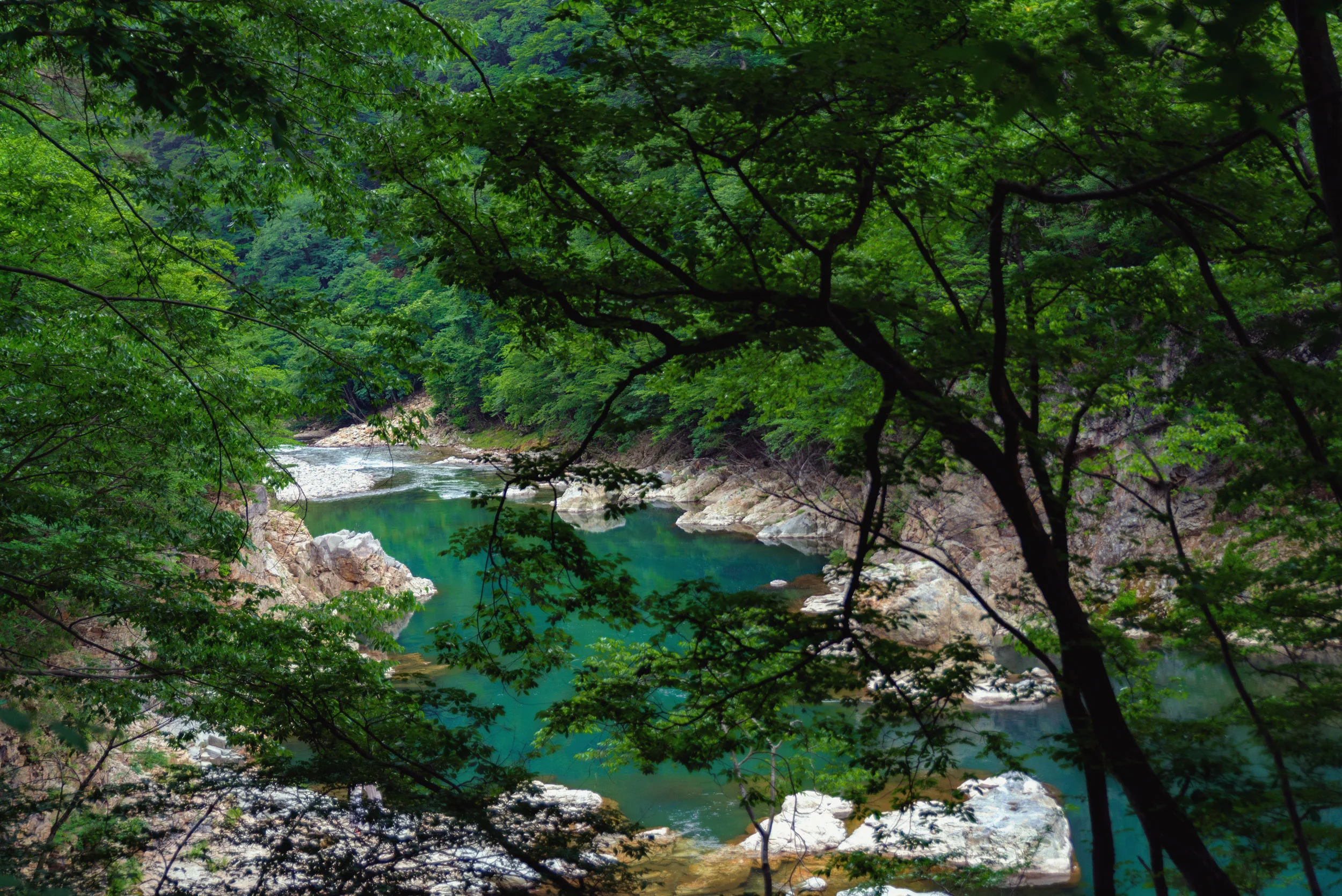 The Kinugawa River near Hoshino Resorts KAI Kawaji