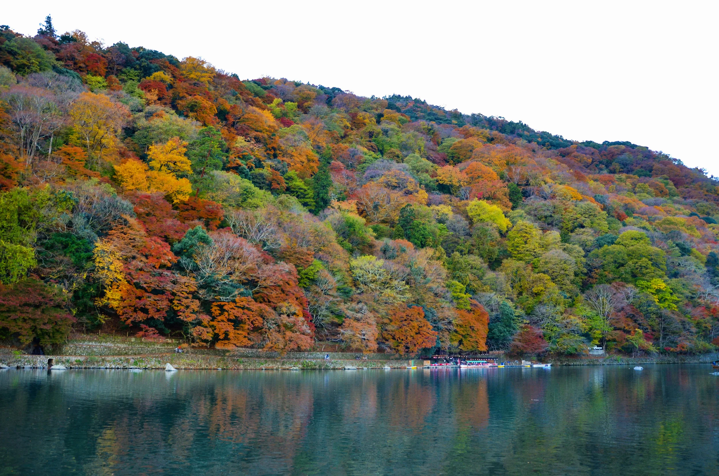 Fall leaves on the Arashiyama riverside in Kyoto