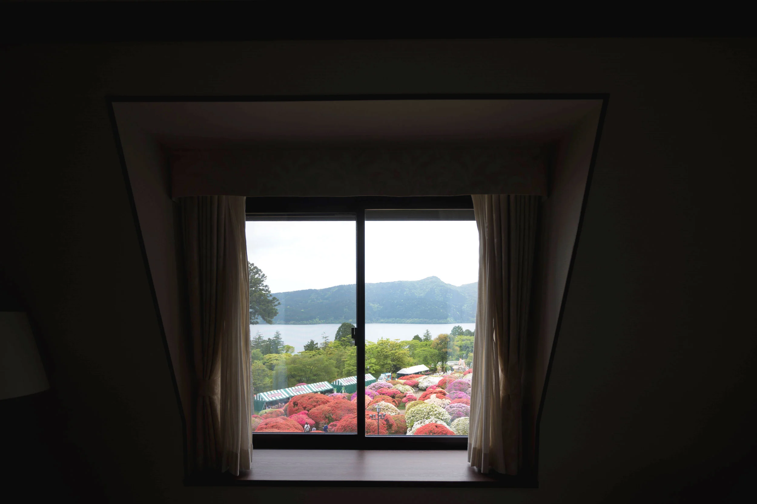 View of Lake Ashi and the garden from the room
