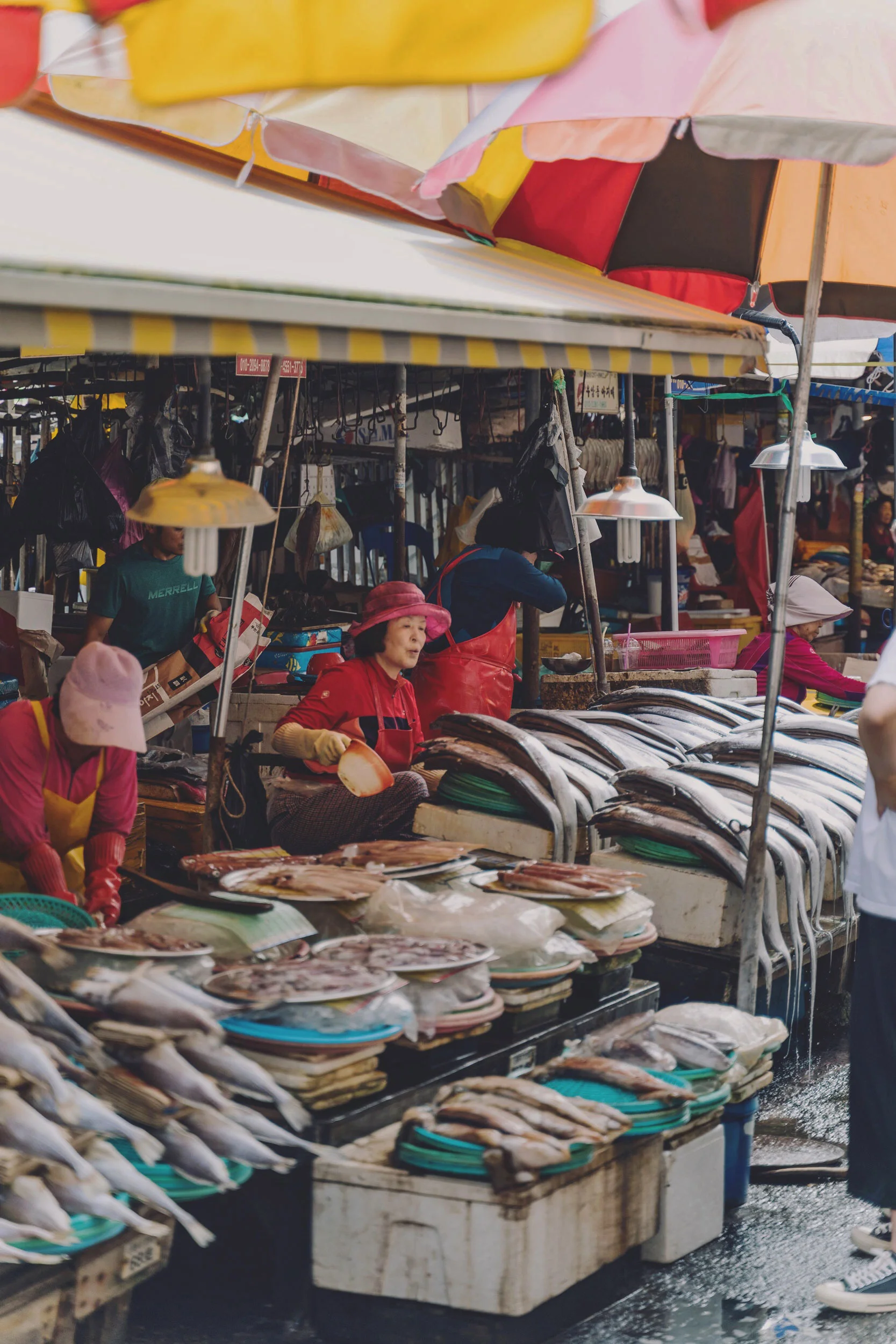 Busan Korea A Short First Trip Barrett