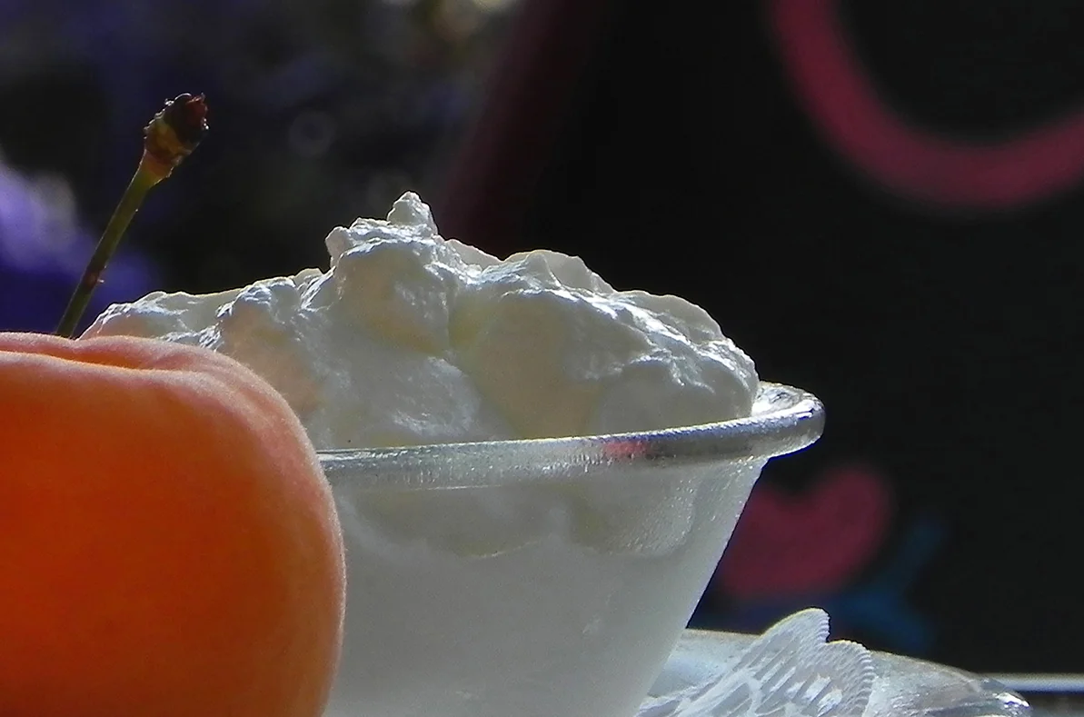 yogurt low.jpg