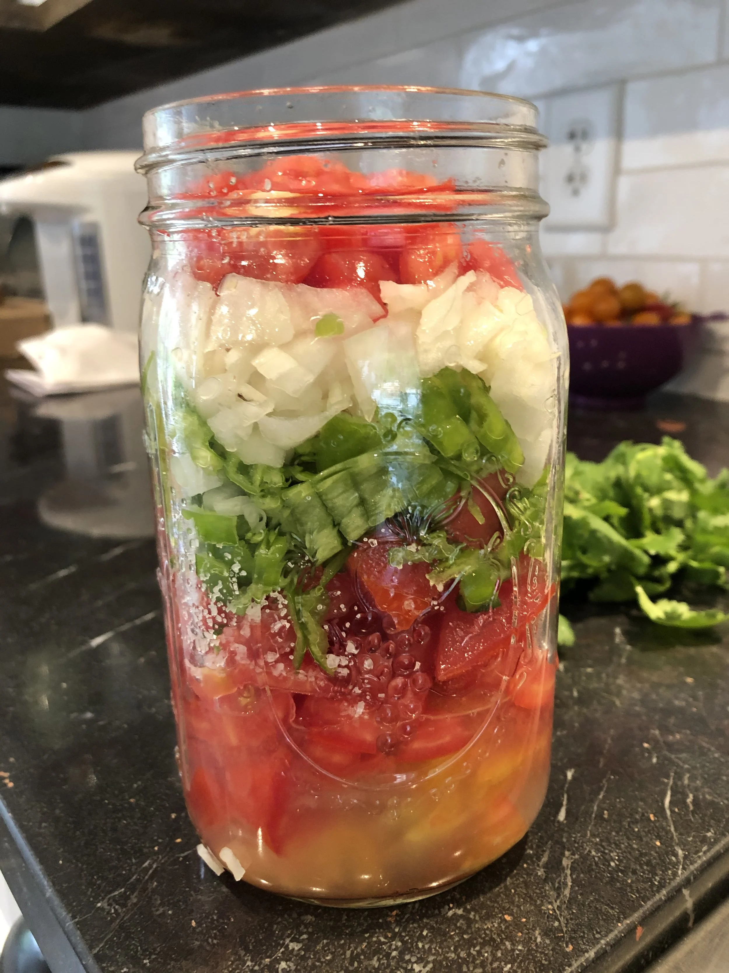 Sustainable Lifestyle Coaching