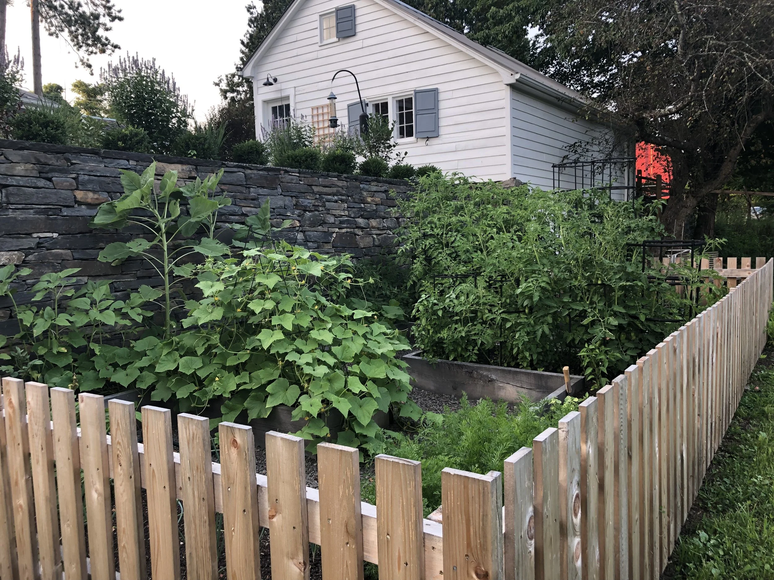Herb and Vegetable Gardens
