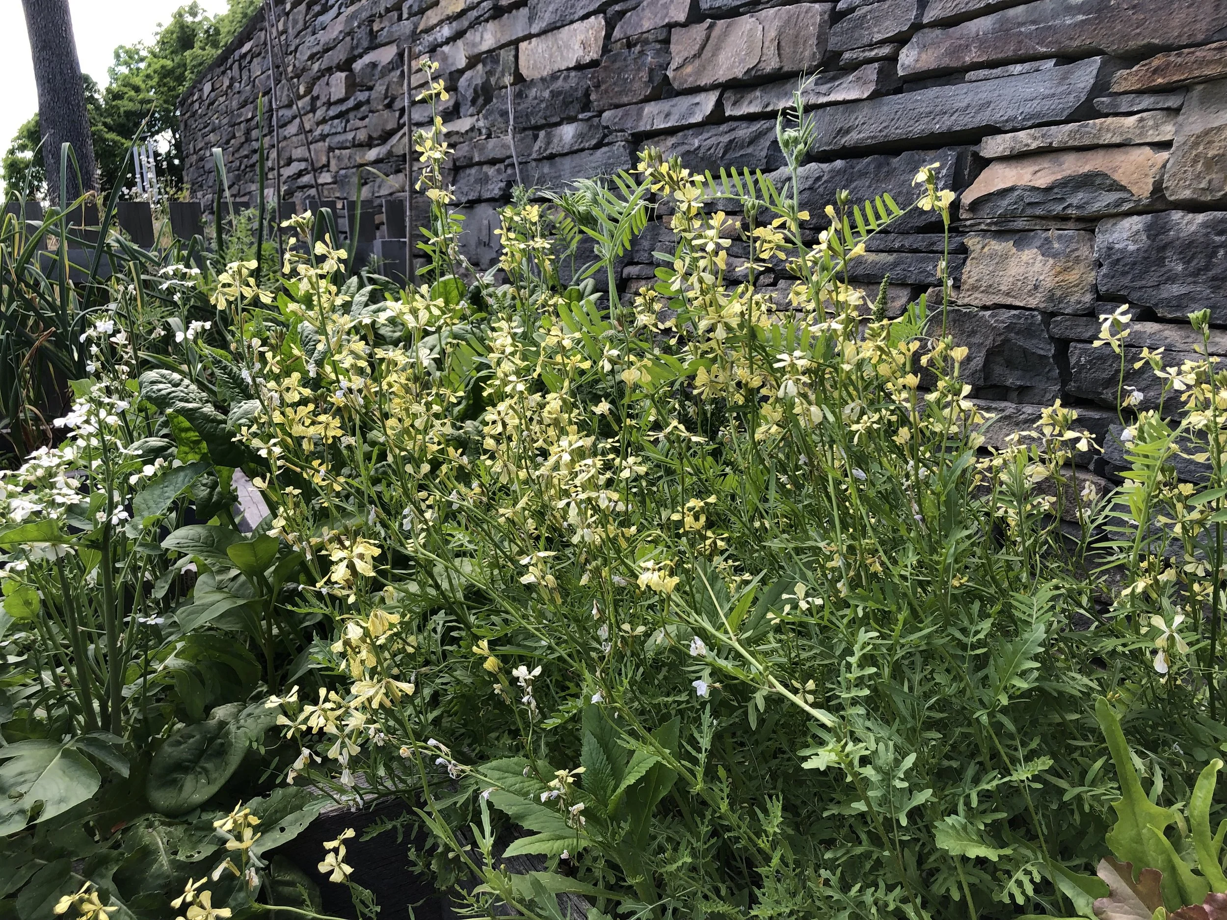 The Gift of a Broken Arm