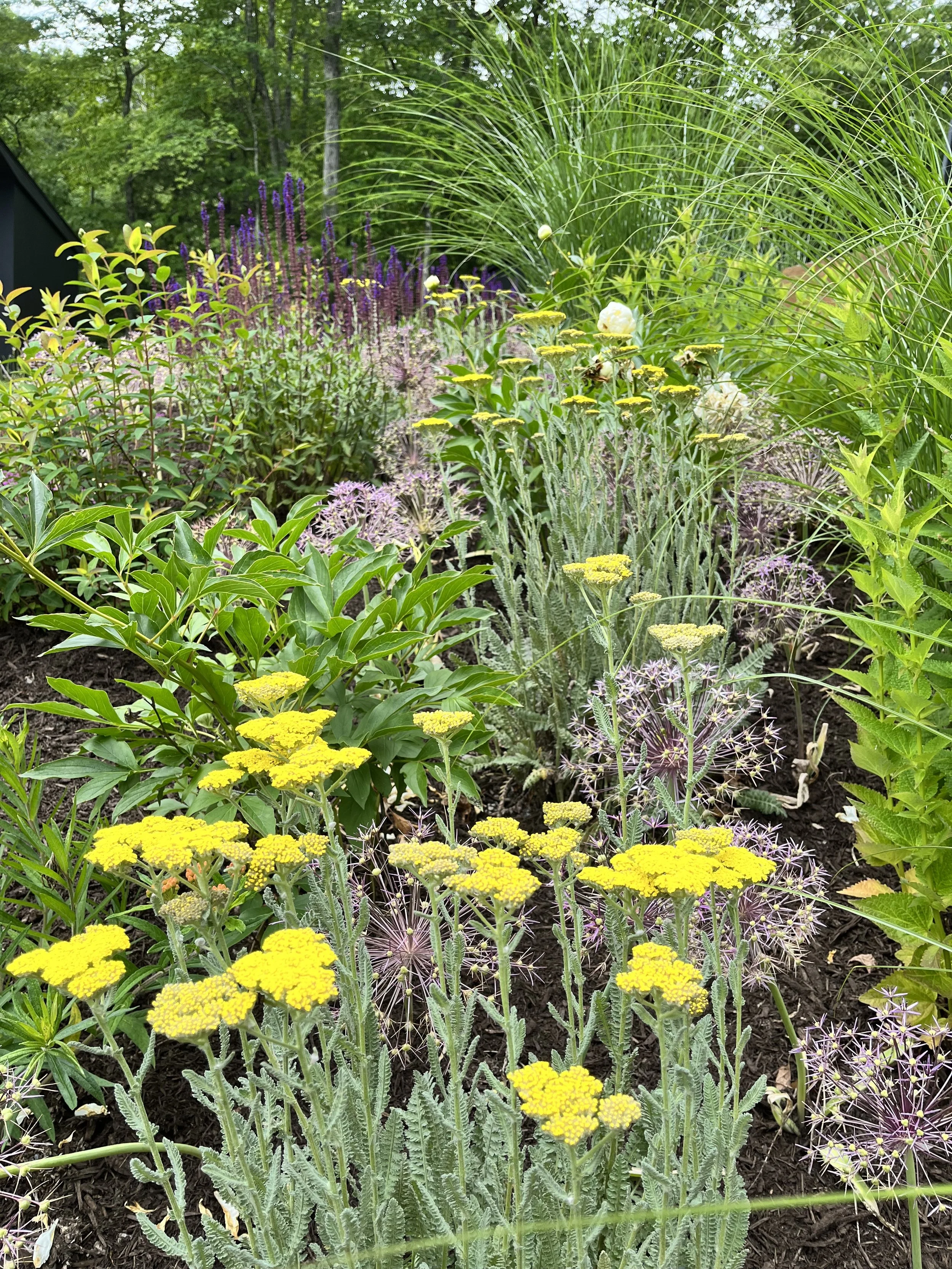 Enchanting Flowering Gardens