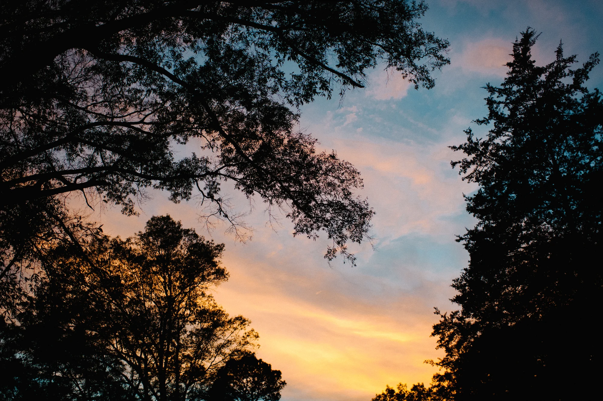 JMP_8023.jpg